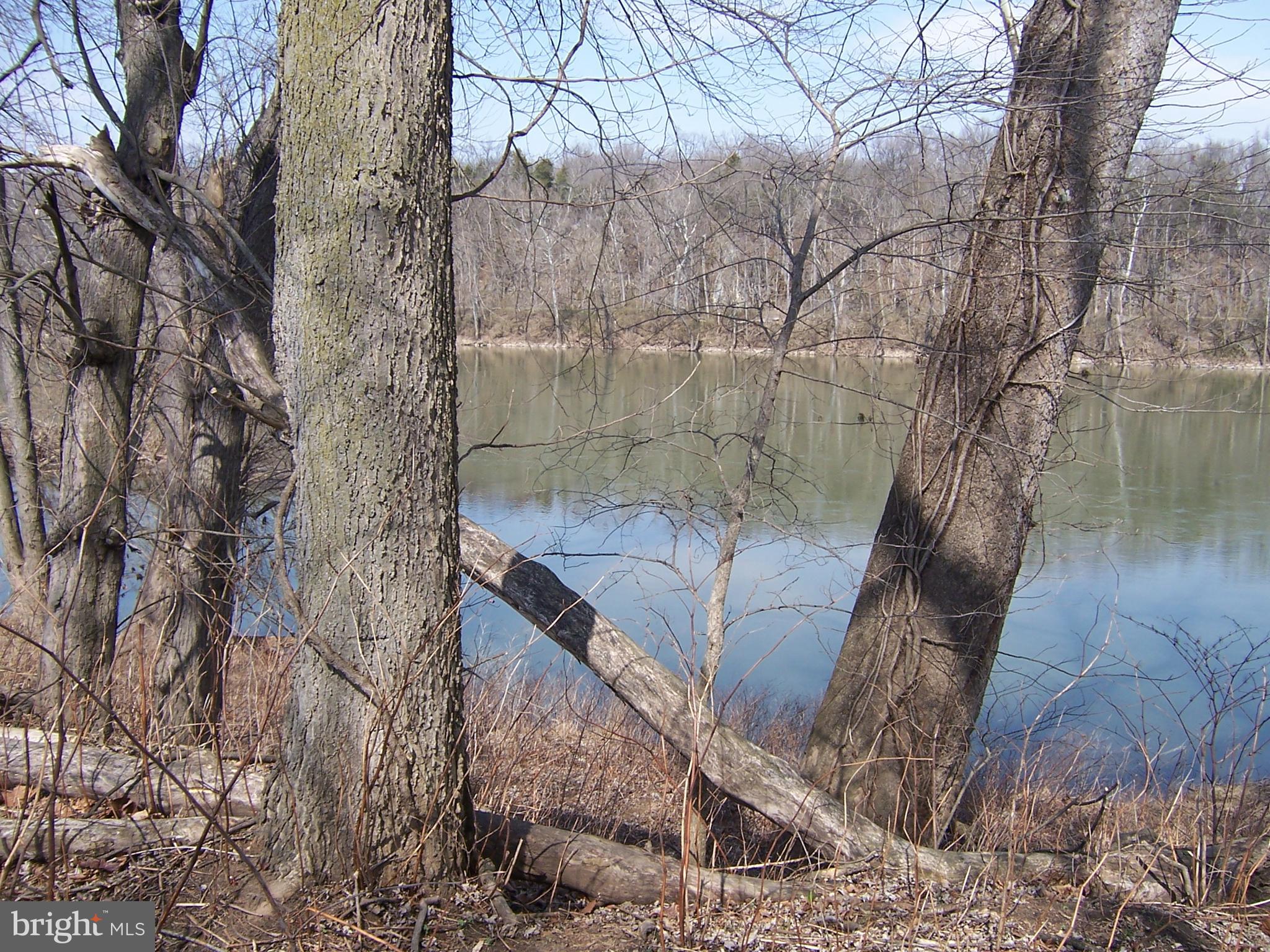 ORCHARD ON THE POTOMAC - Residential