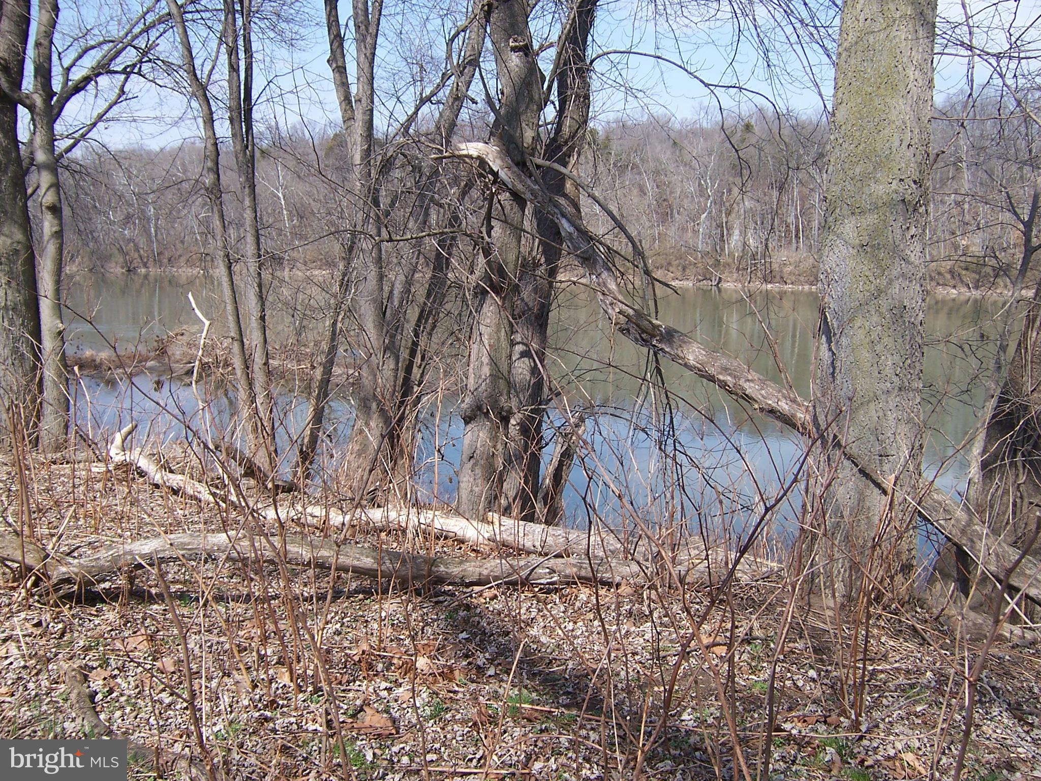ORCHARD ON THE POTOMAC - Residential