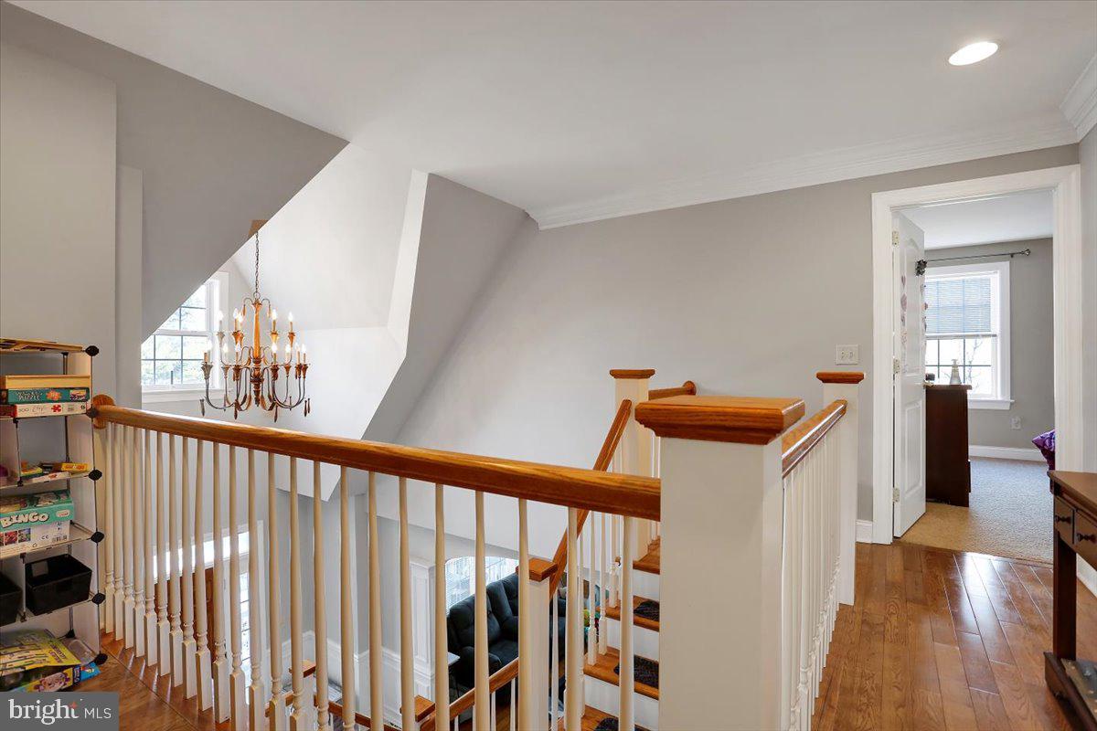 THE EAST MEADOW - Residential