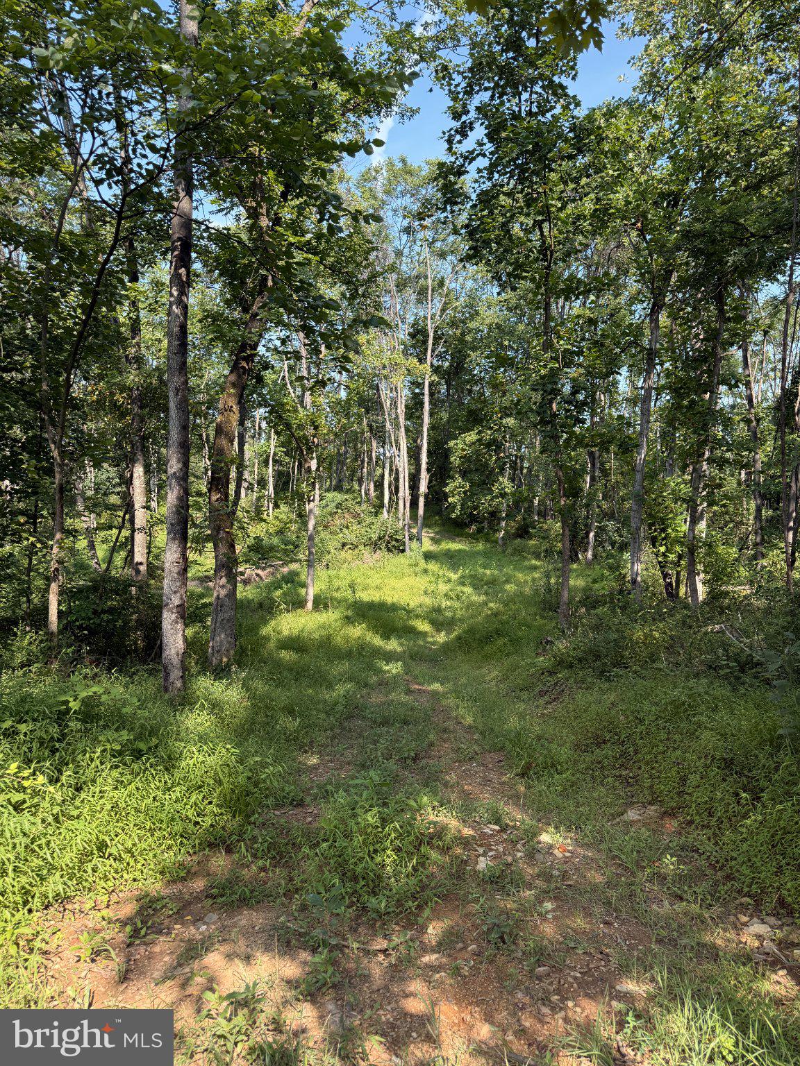 SIR JOHNS RUN ROAD