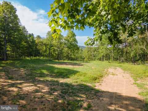 Vacant Land For Sale - Sir Johns Run Road<br/> BERKELEY SPRINGS, WV 25411