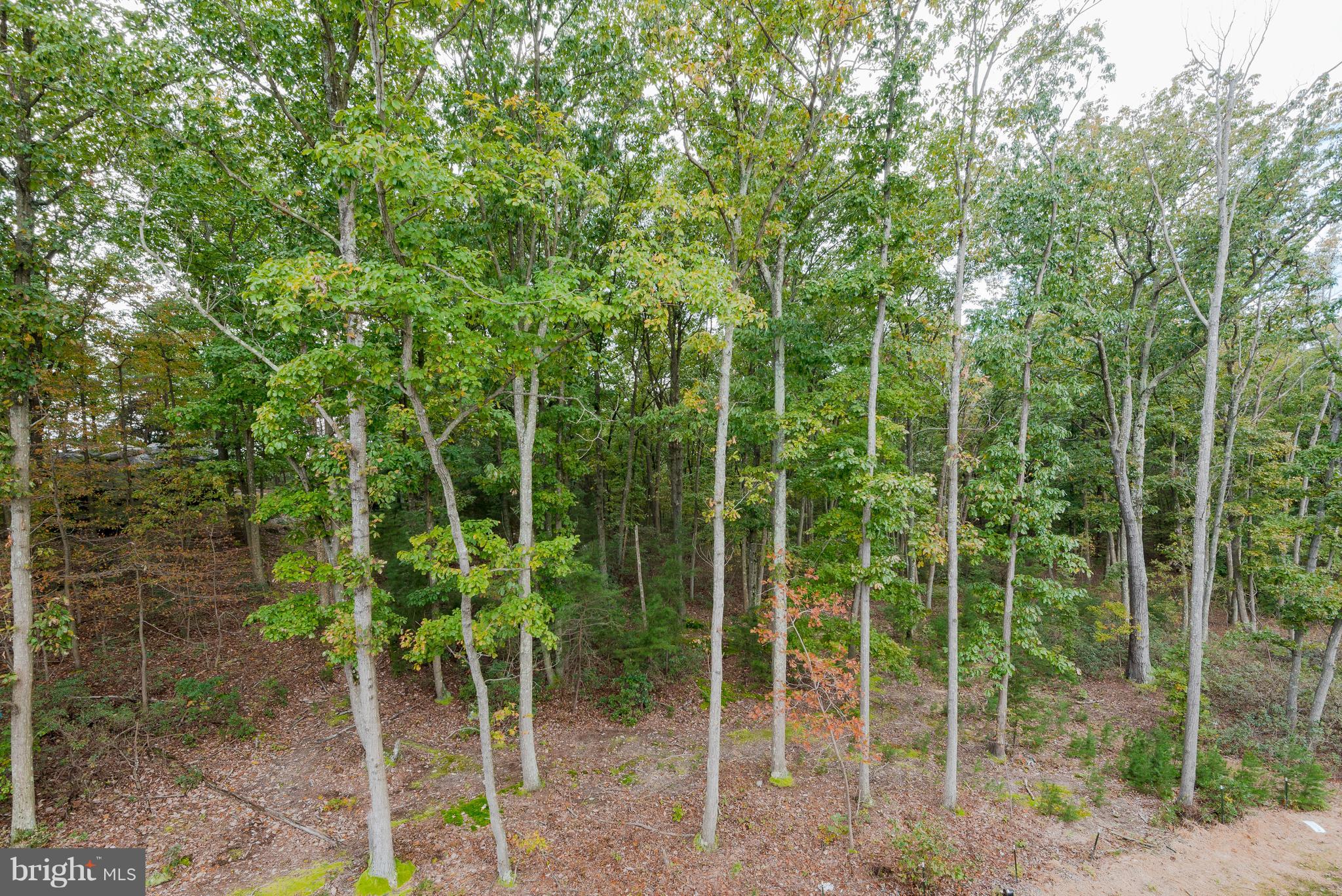 CREEKSTONE VILLAGE - Residential