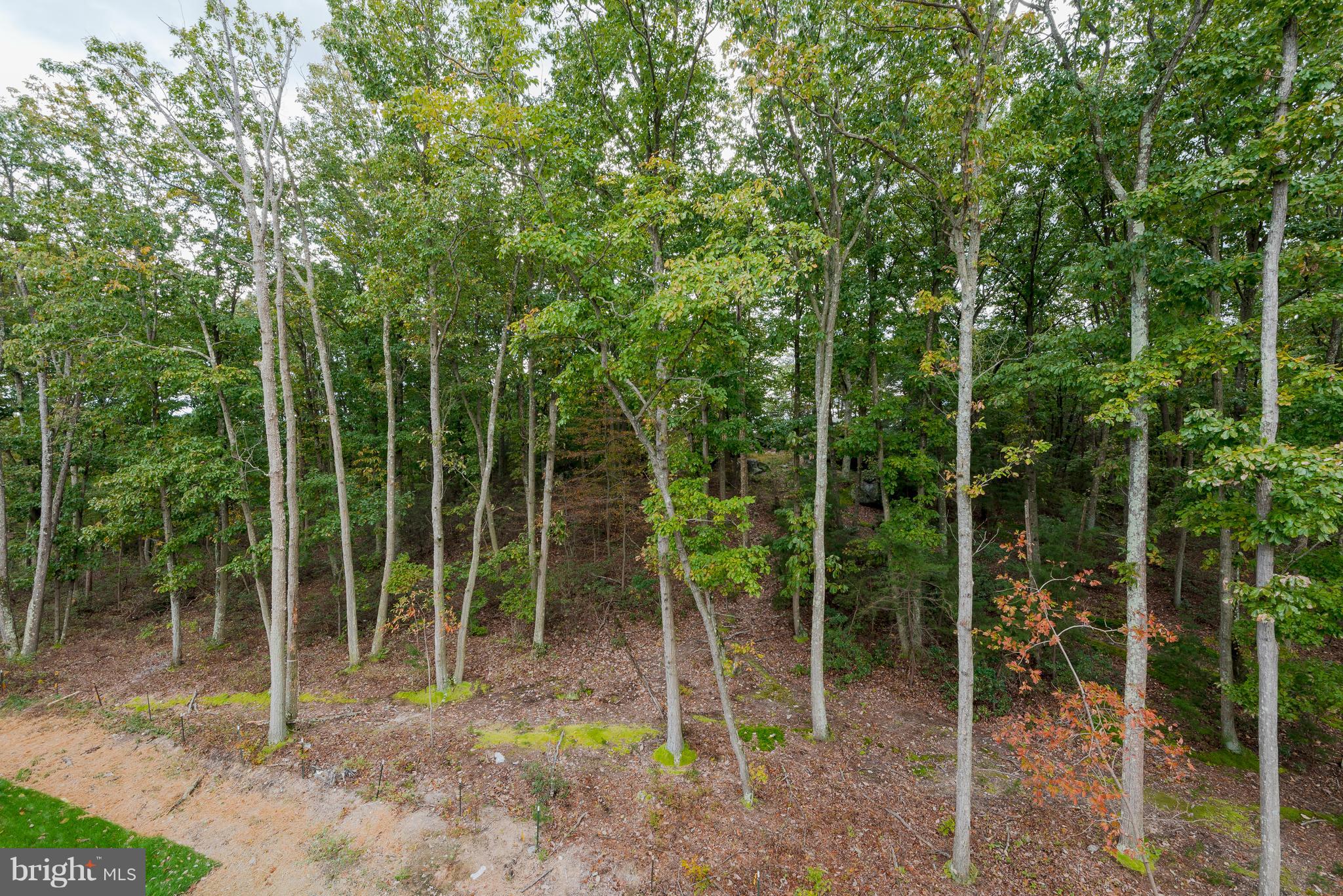 CREEKSTONE VILLAGE - Residential