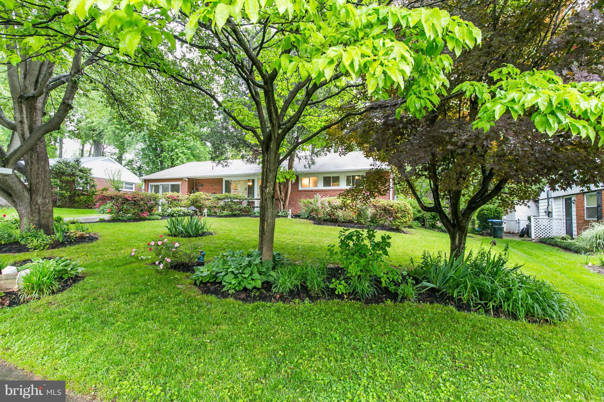 NORTH SPRINGFIELD - Residential