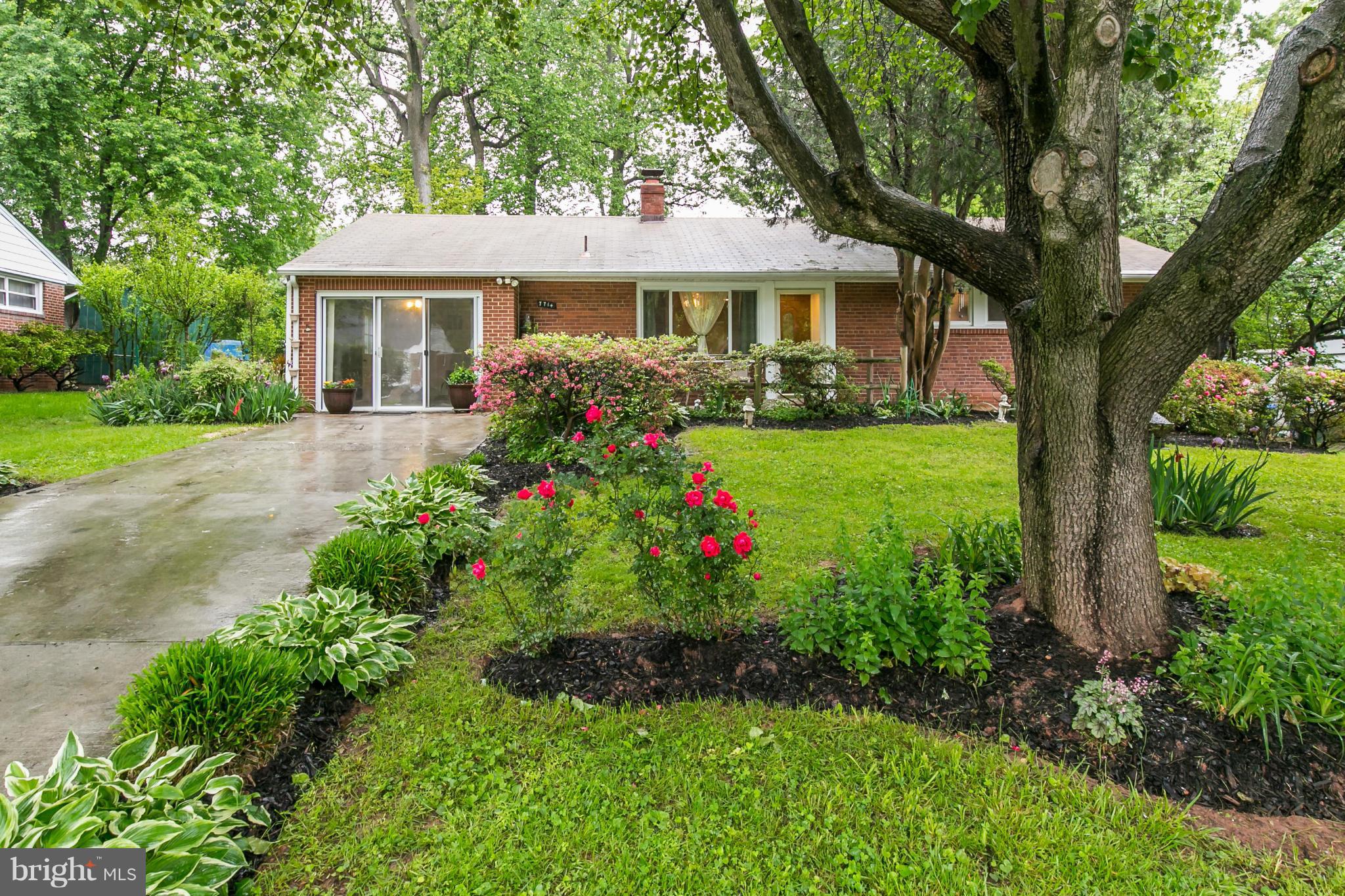 NORTH SPRINGFIELD - Residential