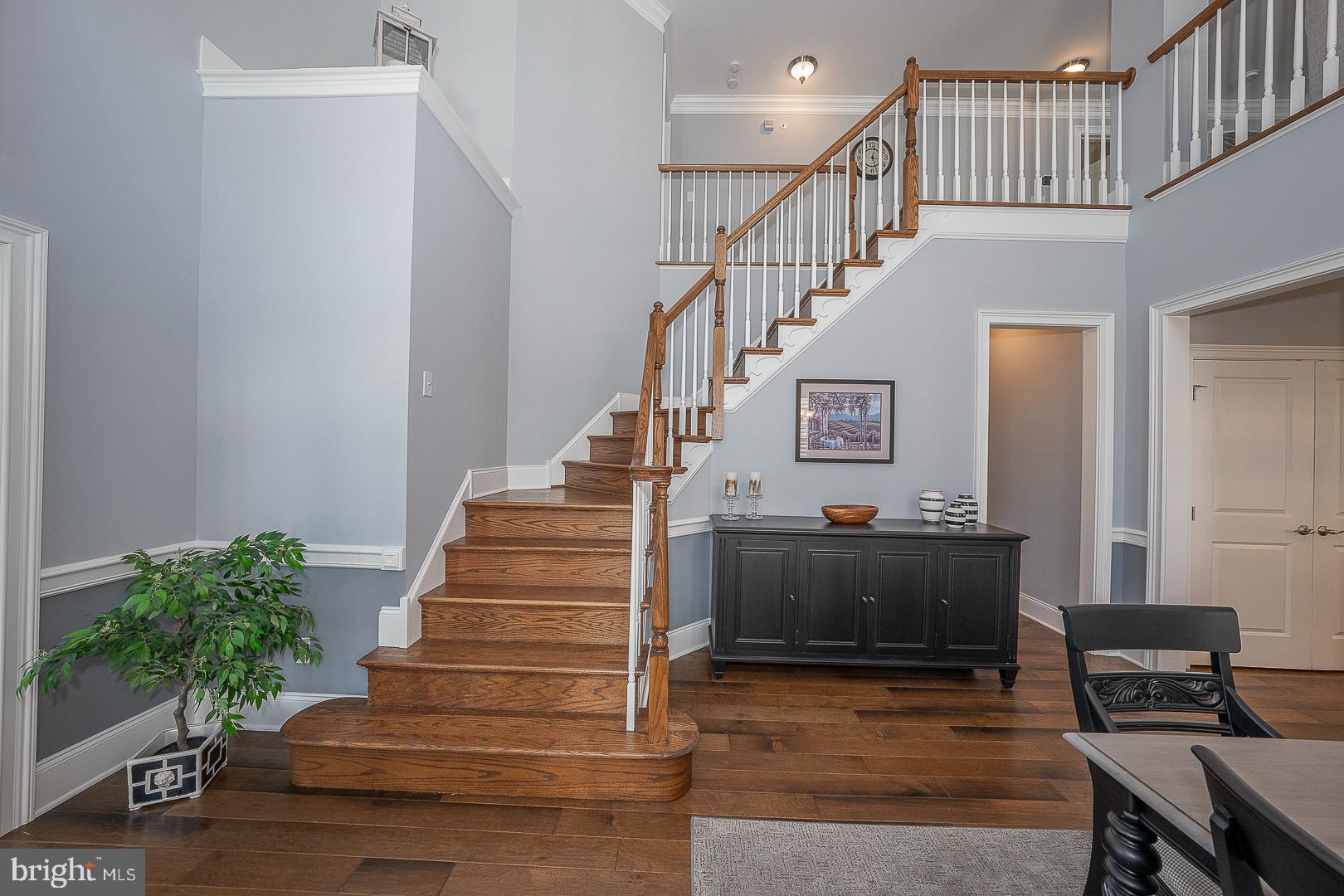 LISETER - Residential