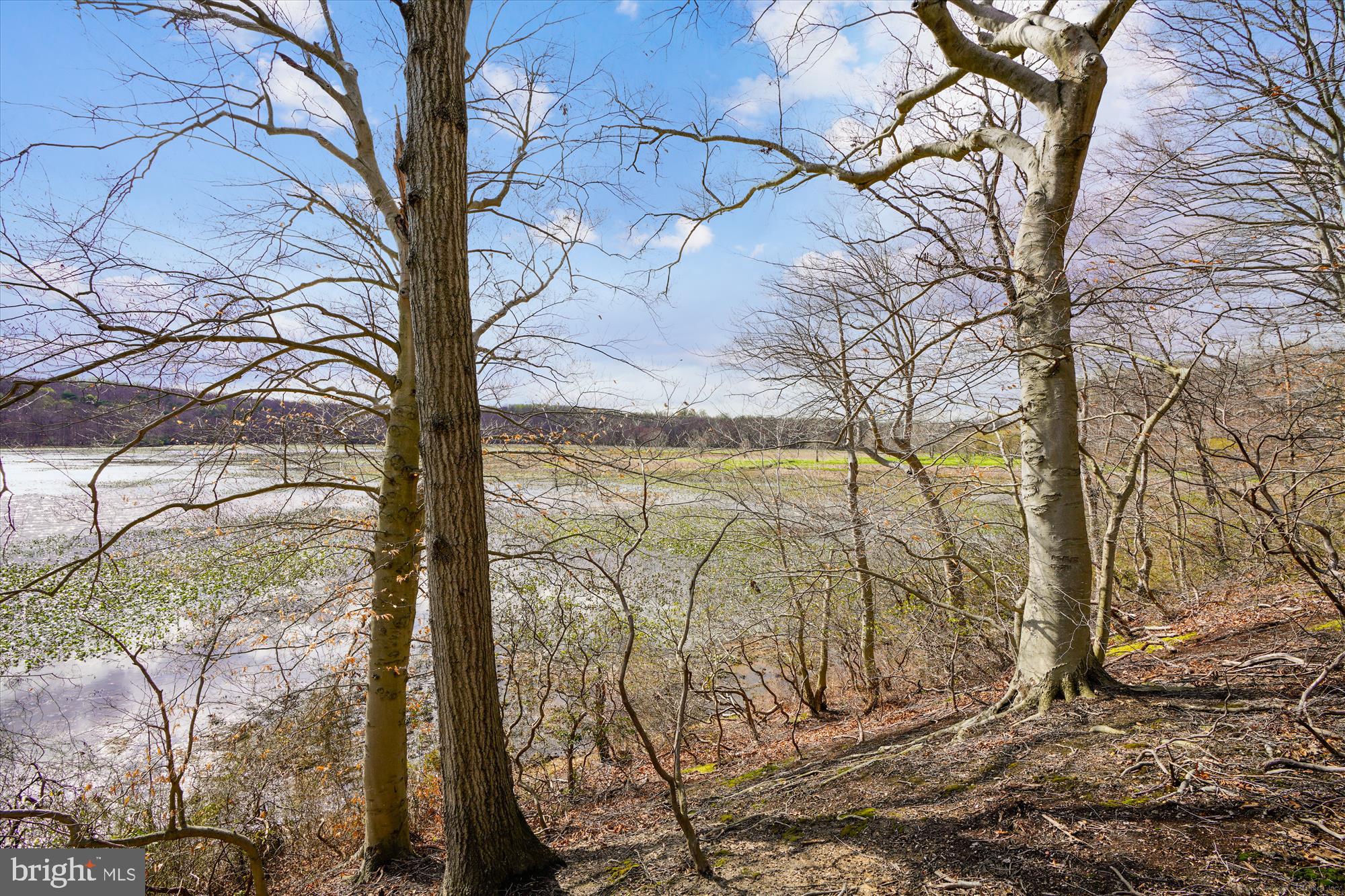 RUSSETT - Residential