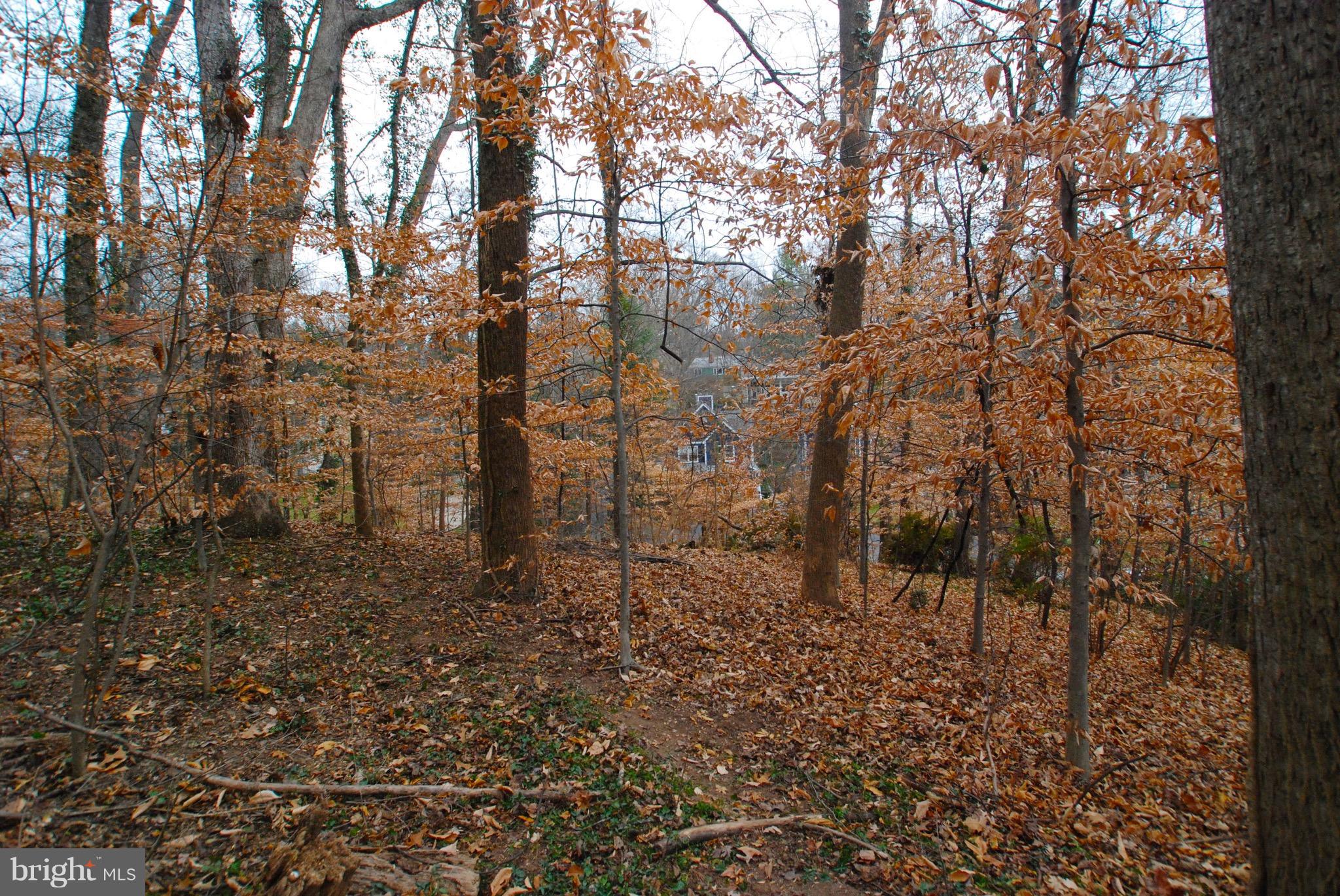 GLEN ECHO HEIGHTS - Land