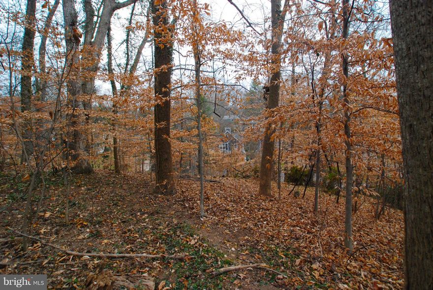 Generous .37-acre build-able lot in the heart of Glen Echo Heights, surrounded by new homes valued up to $2.2 Million. Sloping terrain provides for privacy & treetop views. Property can be accessed from steps/driveway to house next door (6305 -same owner, house not for sale). Steps to Glen Echo Park, C&O canal towpath, Potomac River. Whitman cluster. Gas, water and public sewer hook-up available.