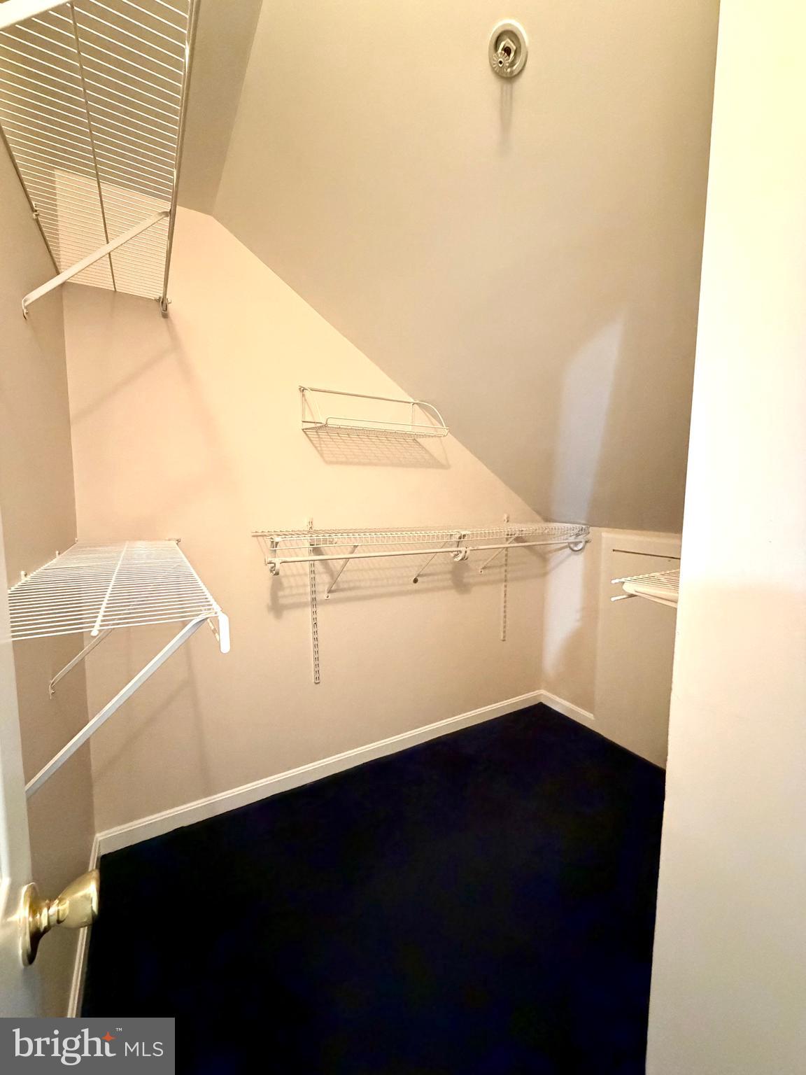 CHAPLINE PLACE - Residential Lease