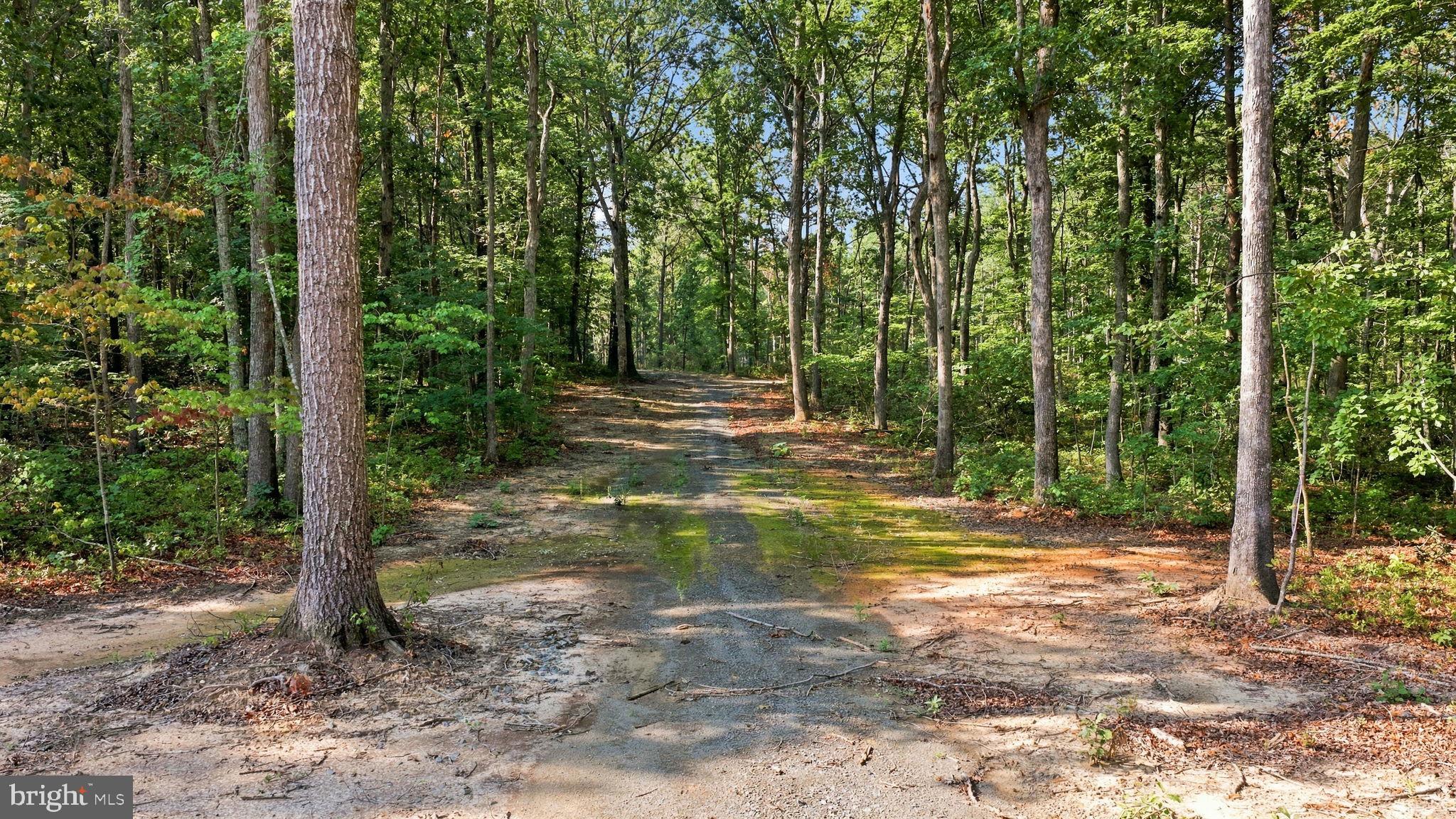 13009 ORANGE PLANK ROAD