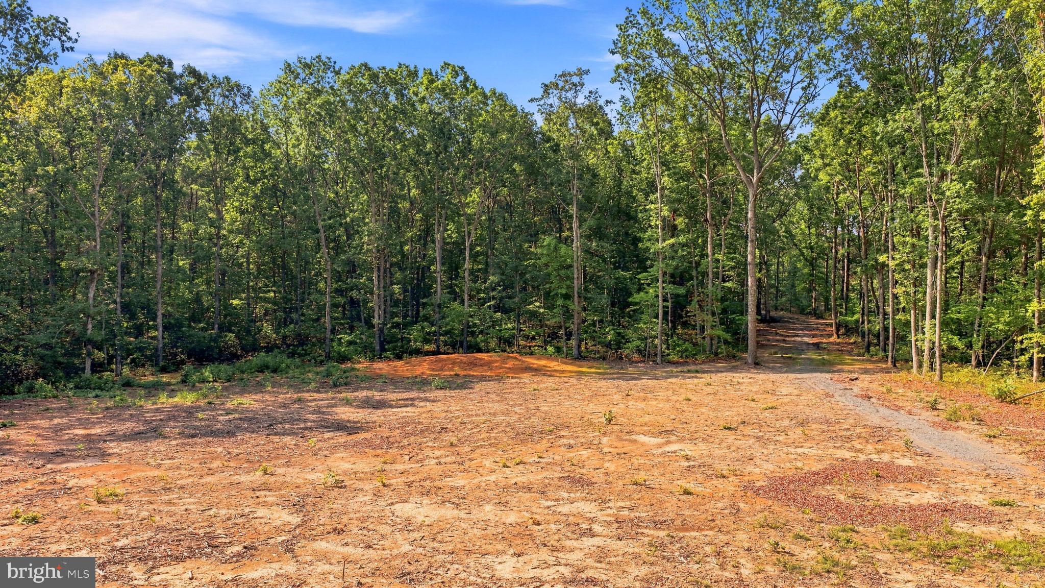 13009 ORANGE PLANK ROAD