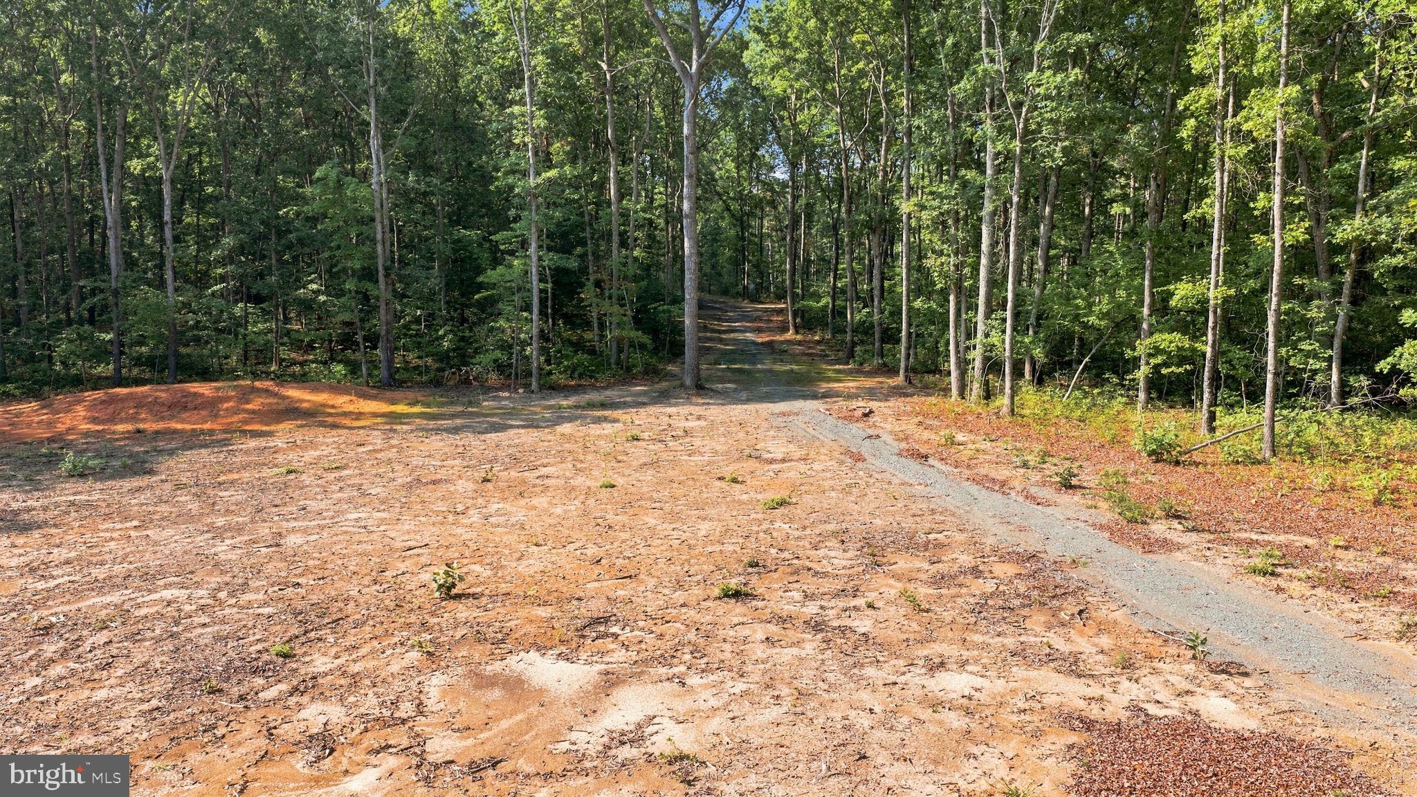 13009 ORANGE PLANK ROAD