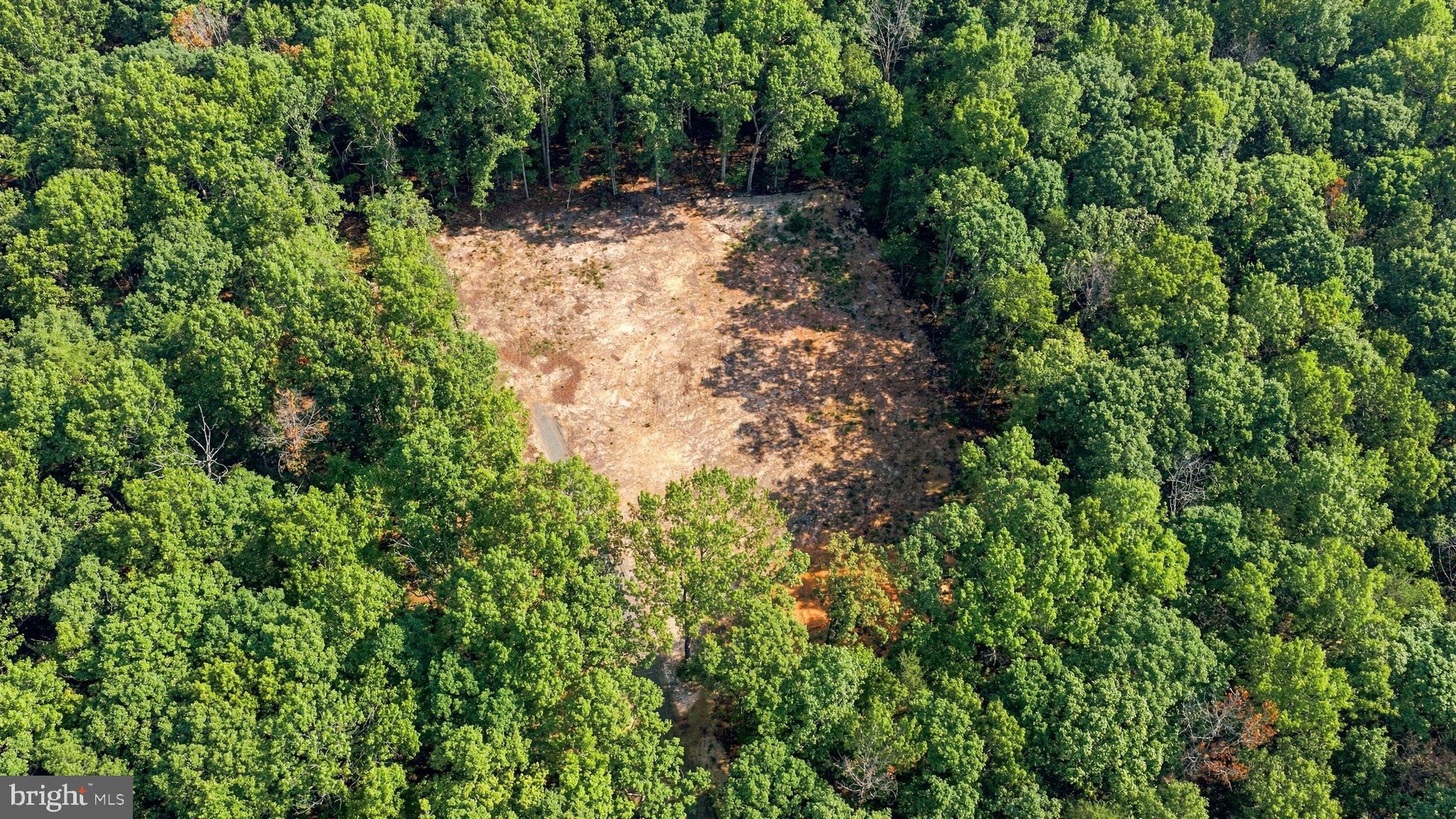 13009 ORANGE PLANK ROAD