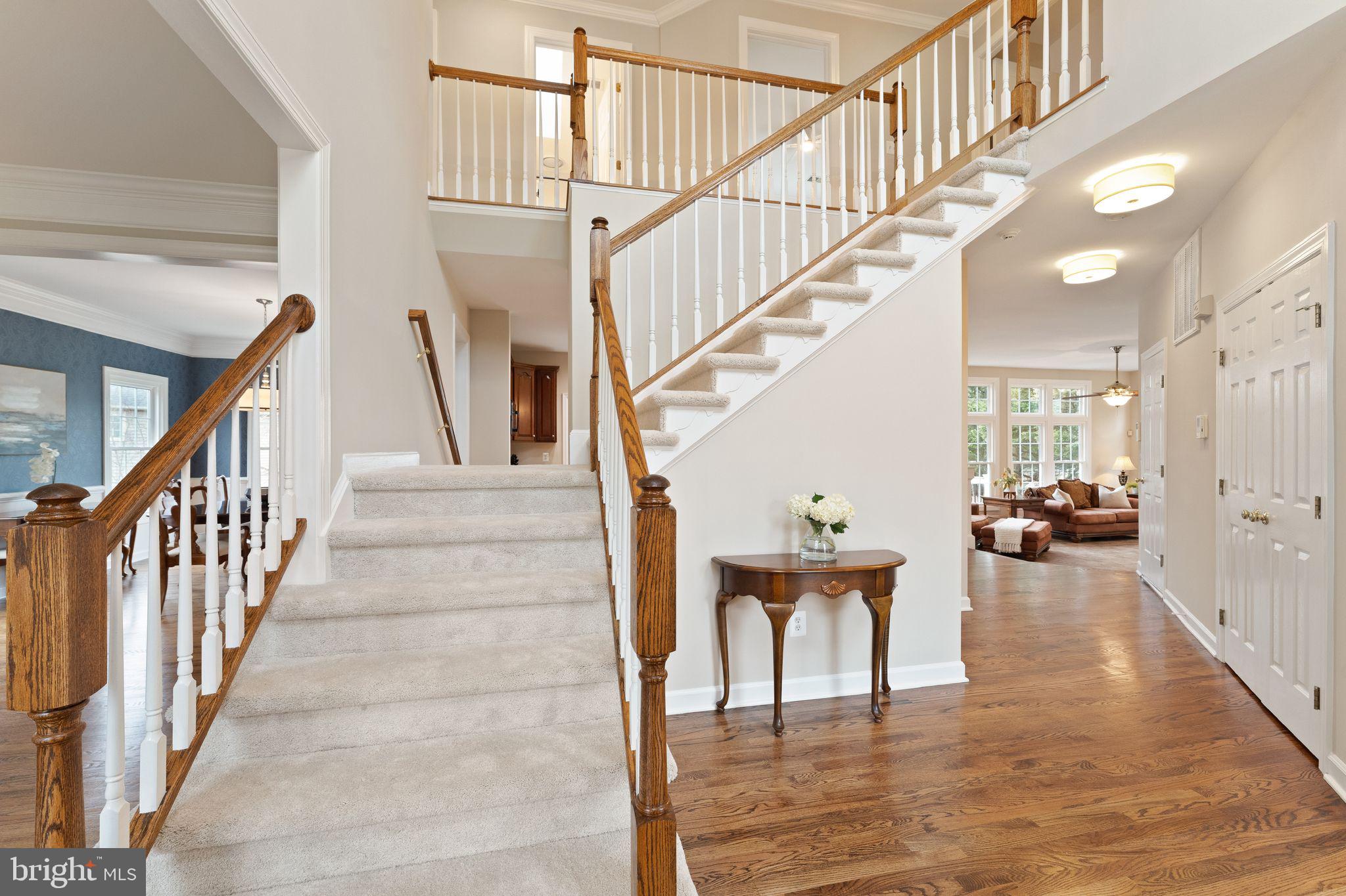 POTOMAC STATION - Residential