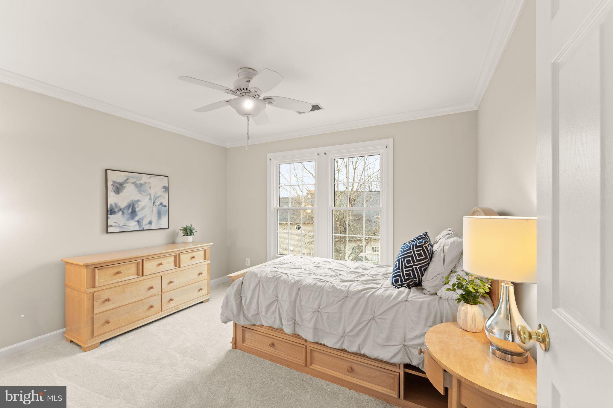 POTOMAC STATION - Residential