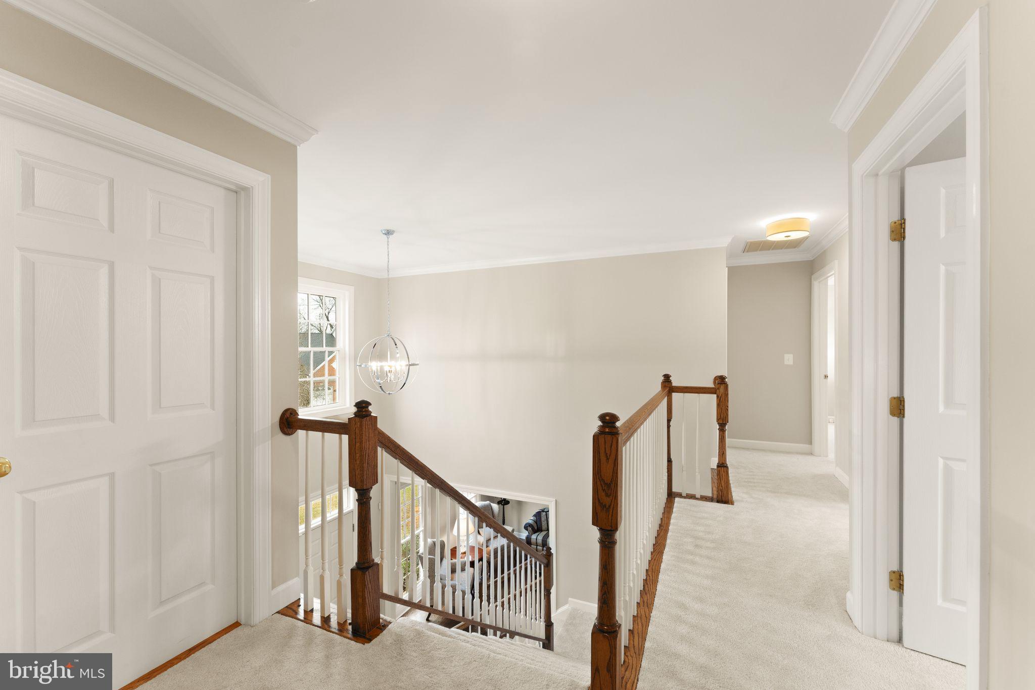 POTOMAC STATION - Residential