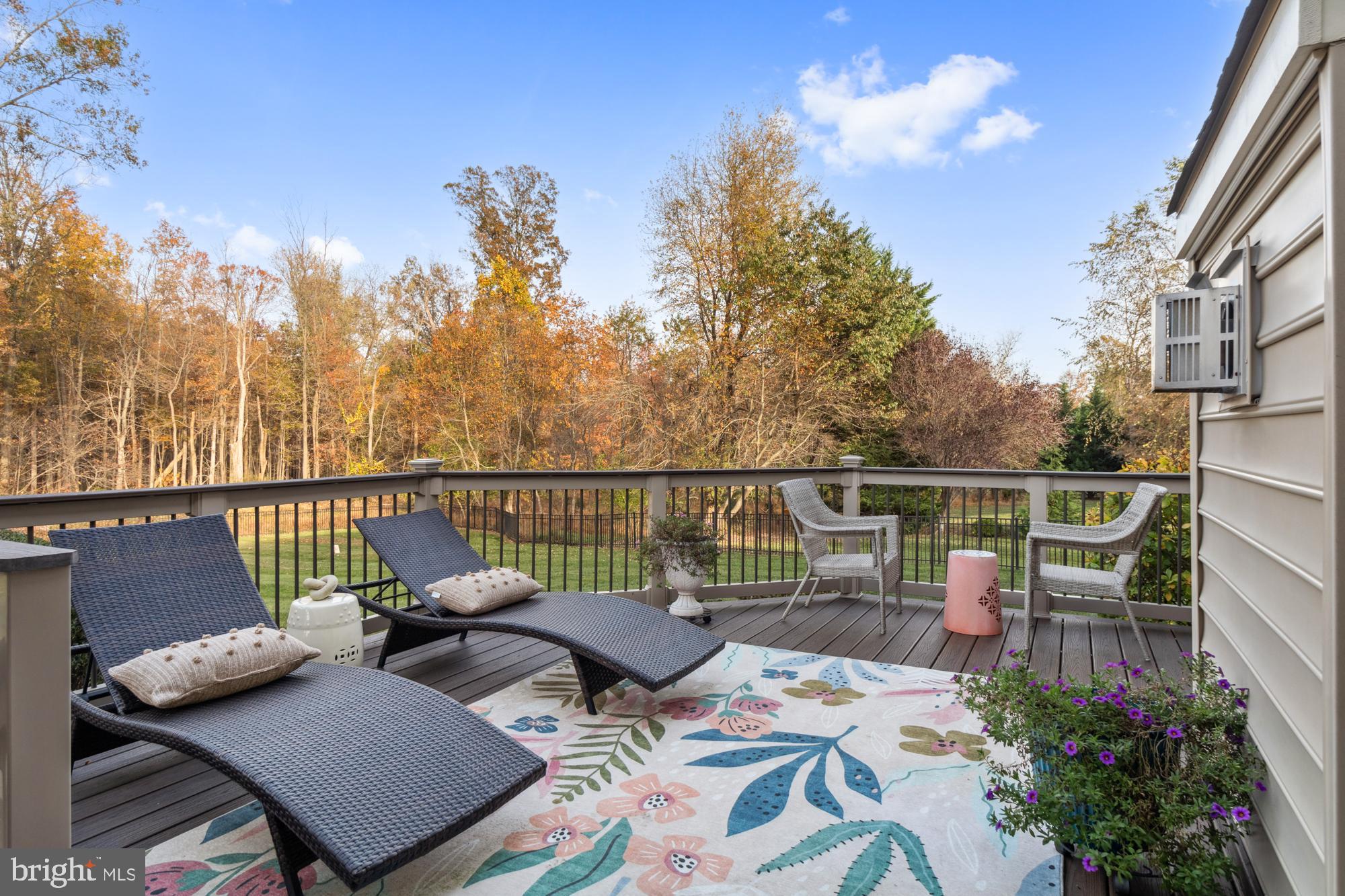 WILLOW CHASE - Residential