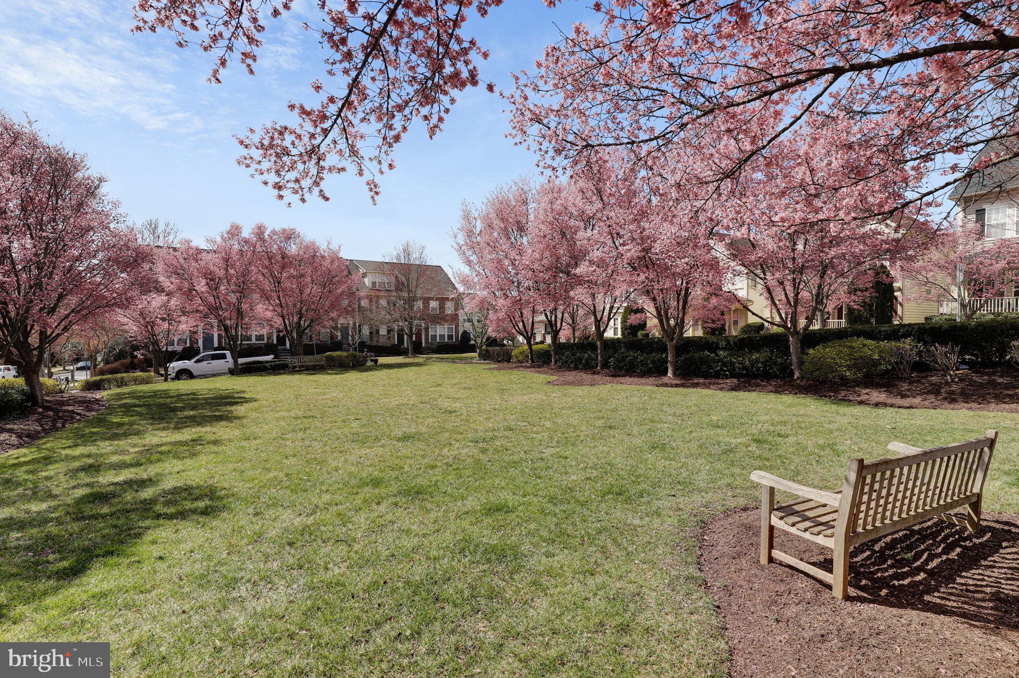 CLARKSBURG TOWN CENTER - Residential