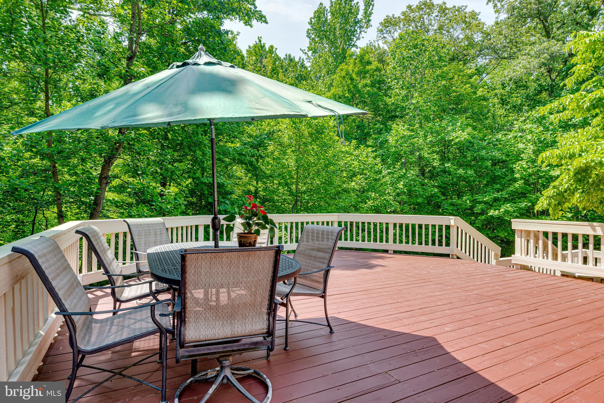 FRAZEE ESTATES - Residential