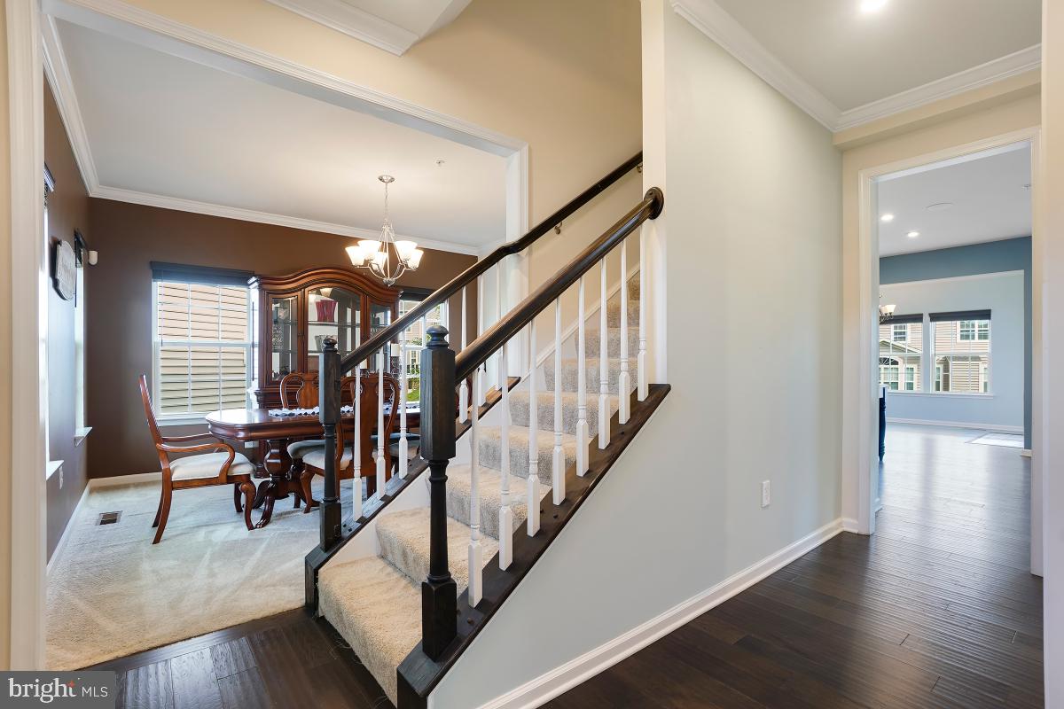 BEECHTREE - Residential