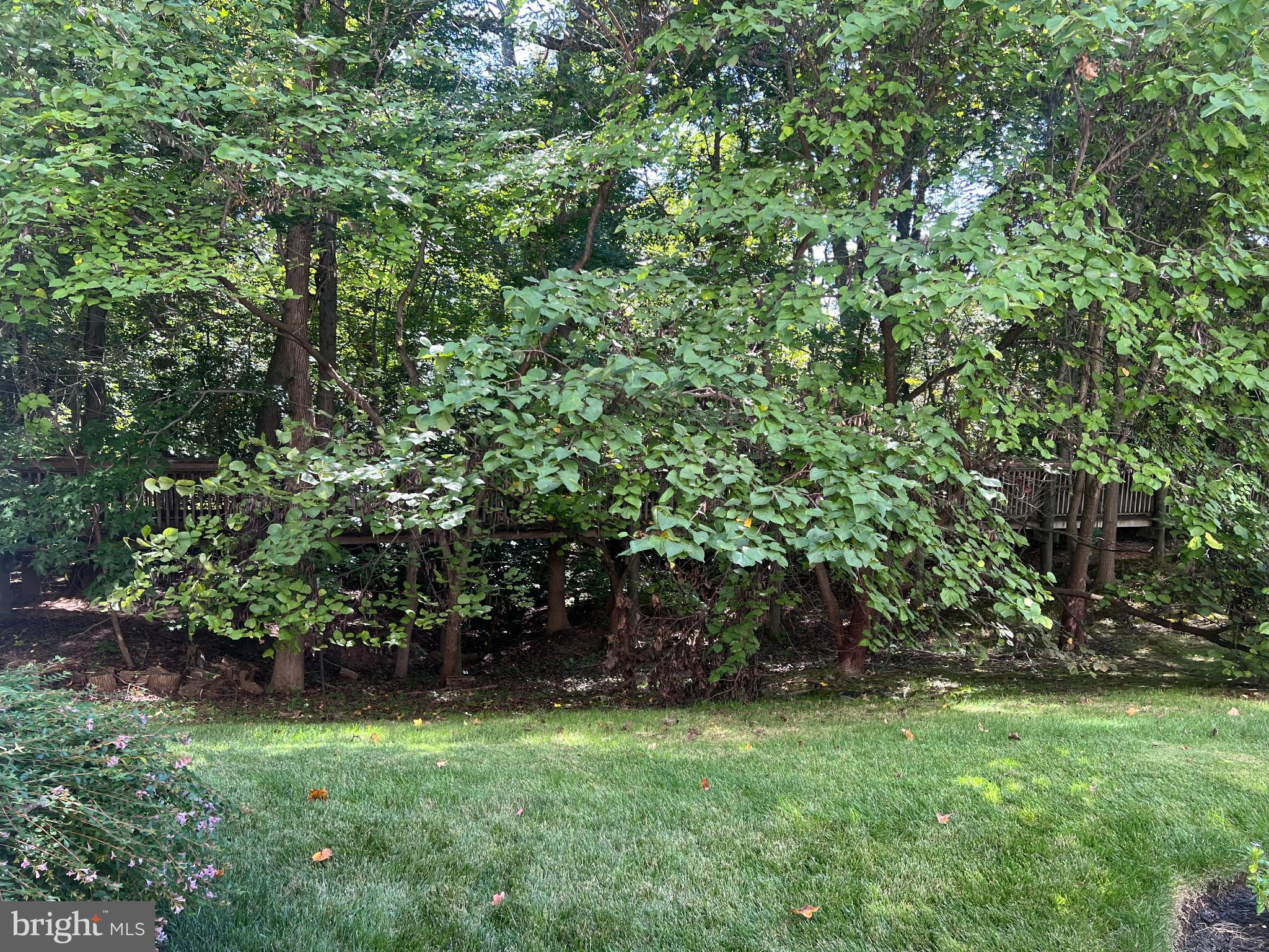 HOPKINS LANDING - Residential