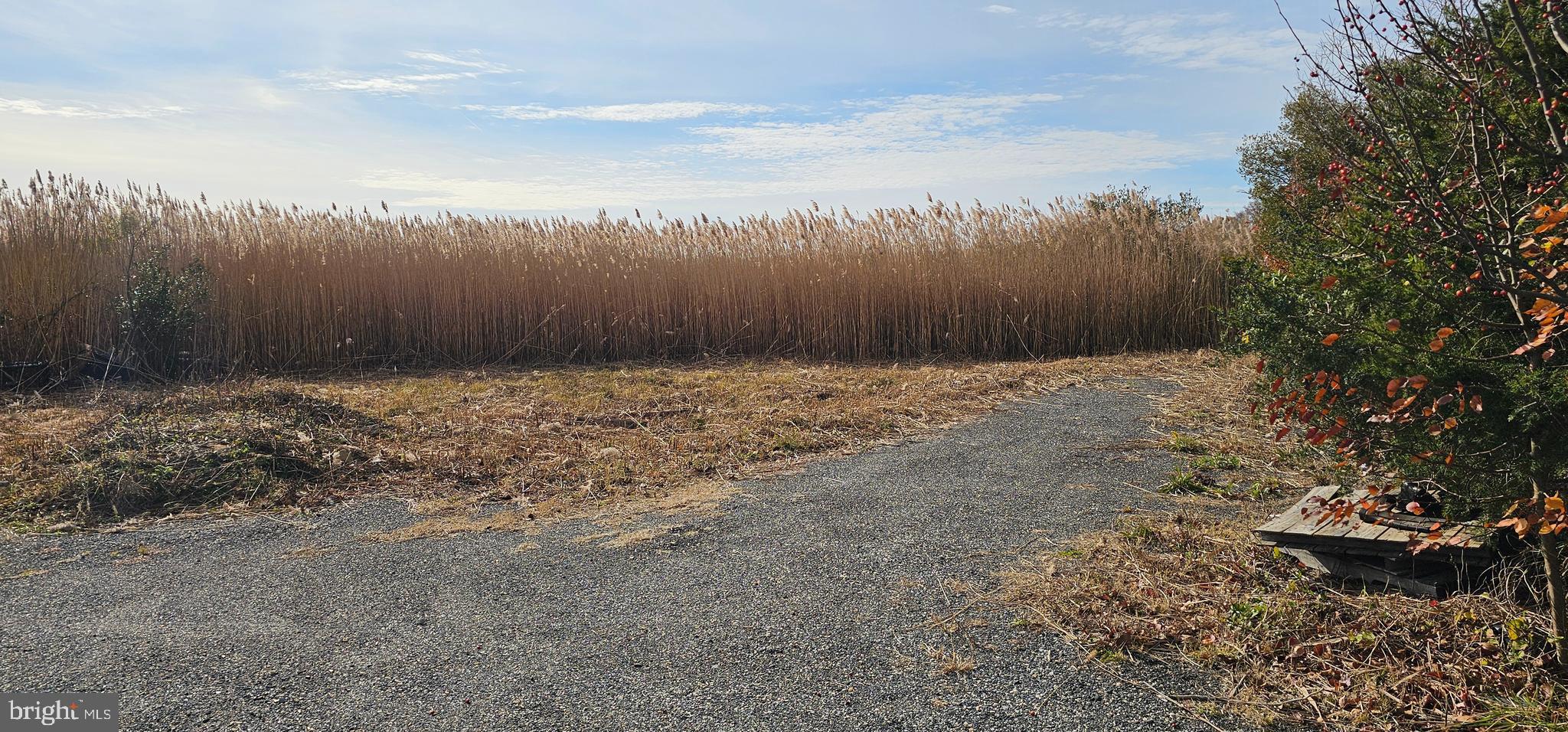 2806 KITTS HUMMOCK ROAD