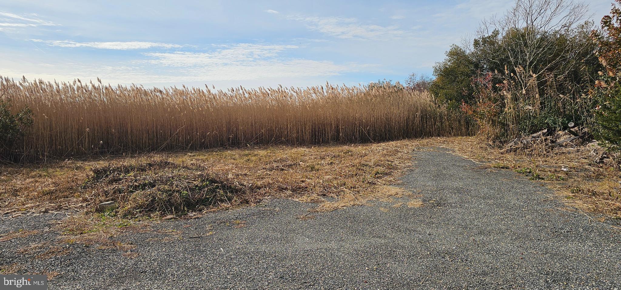 2806 KITTS HUMMOCK ROAD