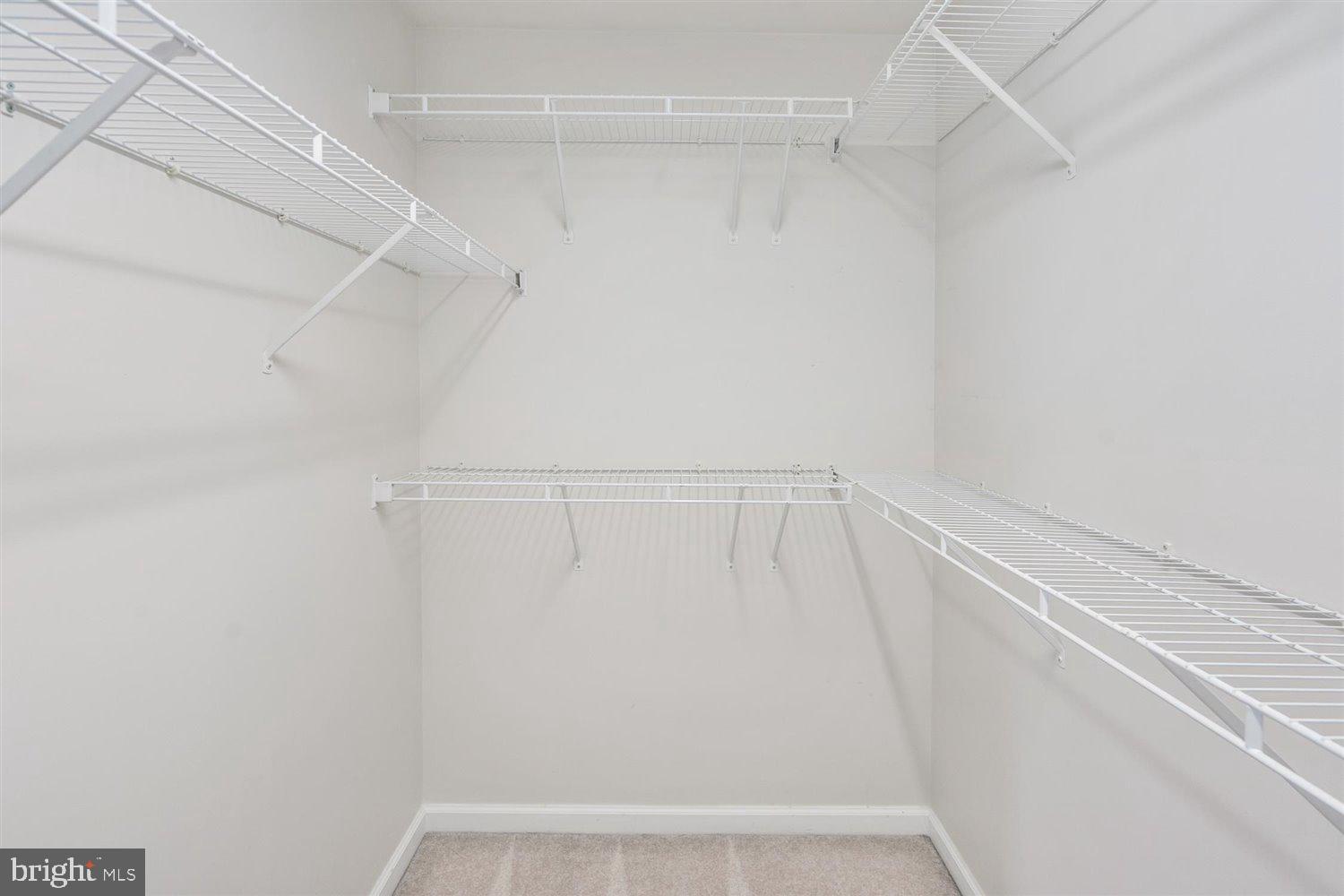 LOCUST POINT - Residential