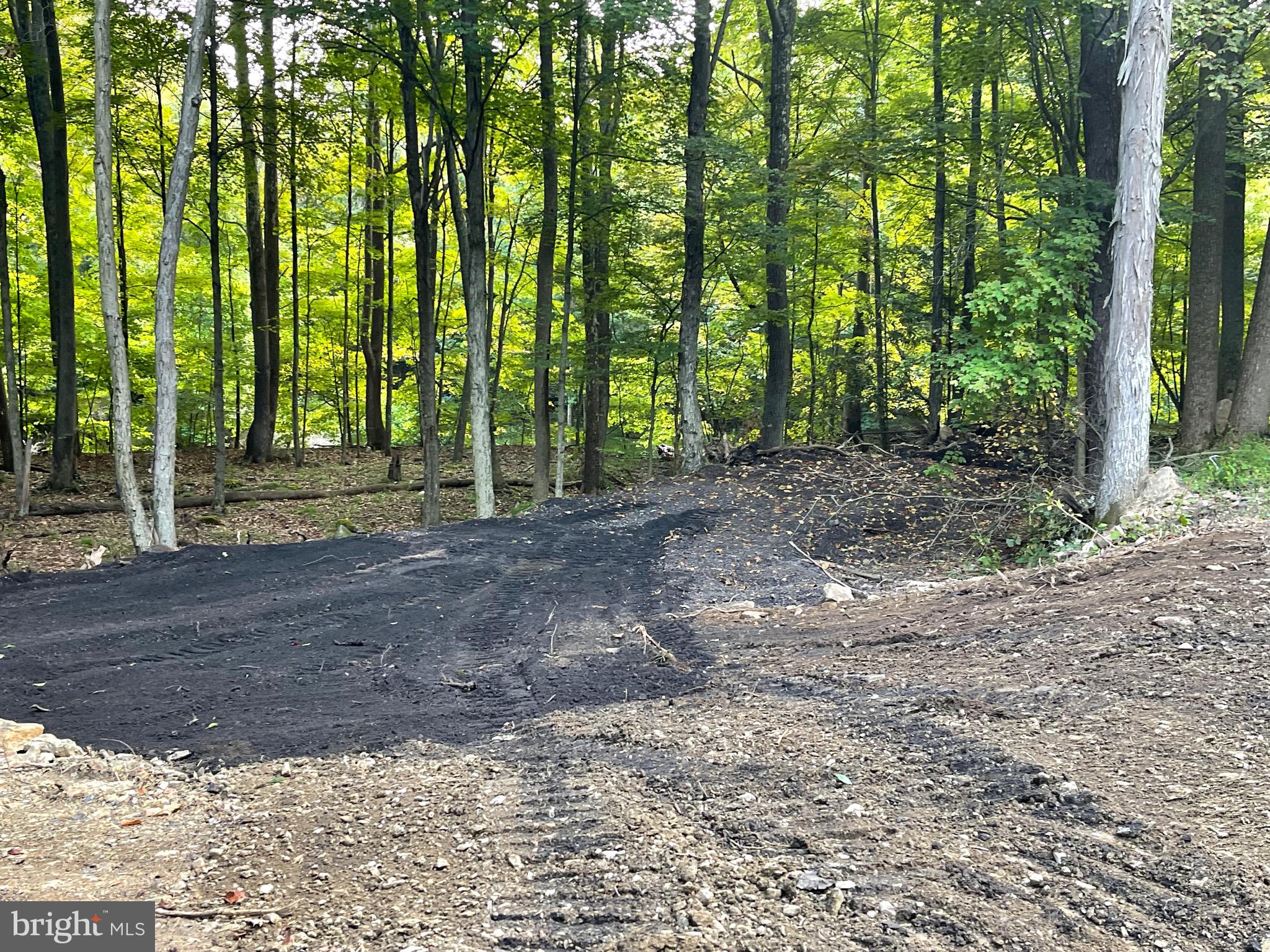 NONE AVAILABLE - Land