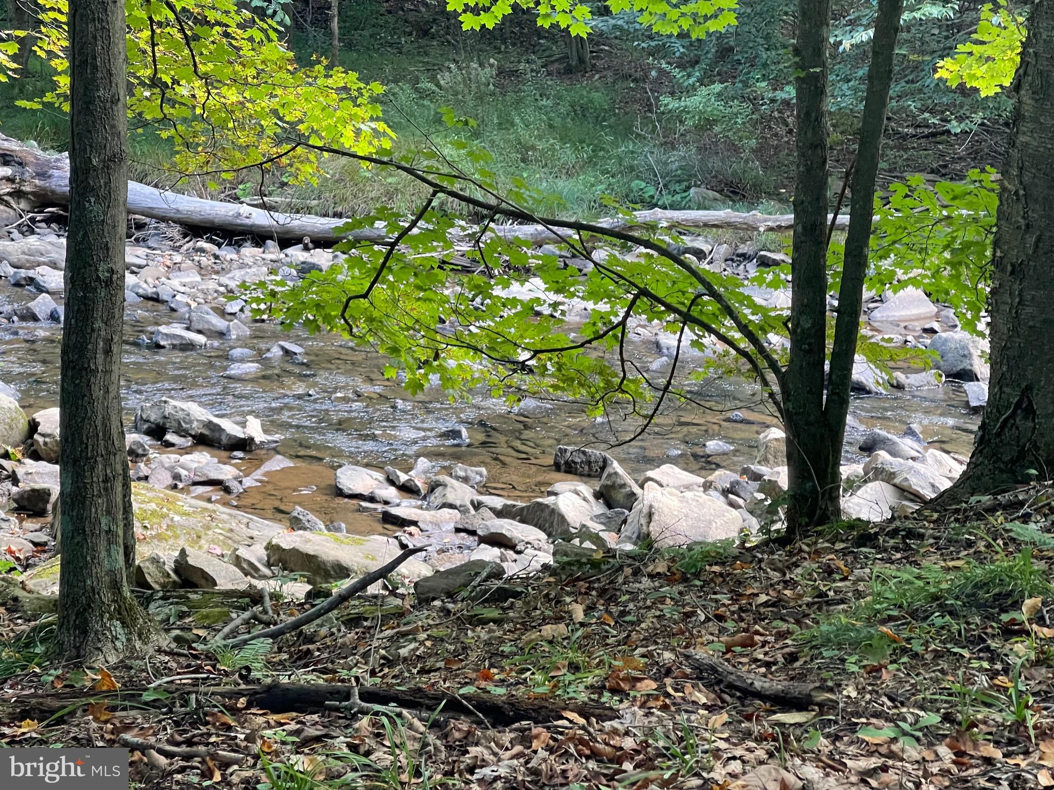 ABRAMS CREEK - OAKMONT, WV