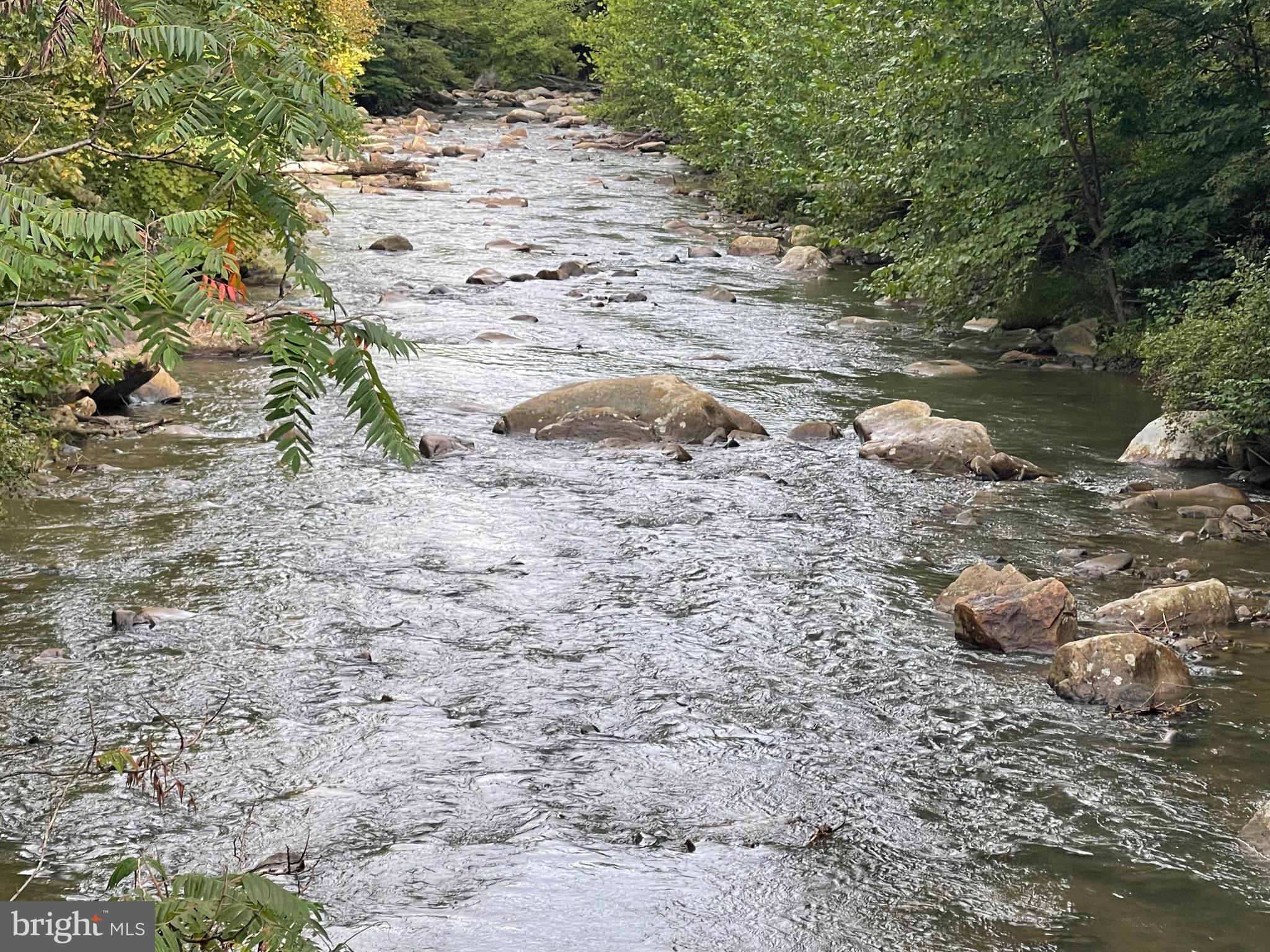 ABRAMS CREEK - OAKMONT, WV