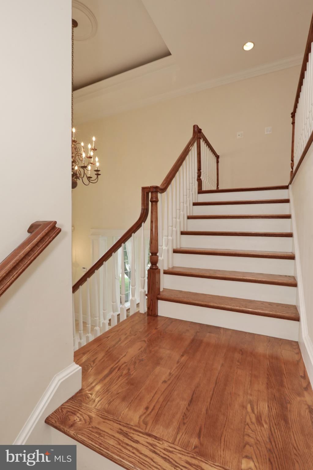 AVENMAR - Residential