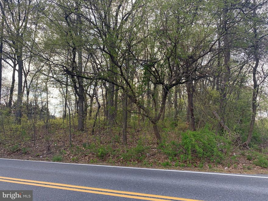 Great opportunity!  This could be the perfect time to build your own home!  With home prices rising on a daily basis why not entertain the possibility of building your dream home.  This serene plot of land is located on a sleepy county road surrounded by high end home construction!  Feels like you are in the country yet just minutes to shopping, attractions and major travel routes.