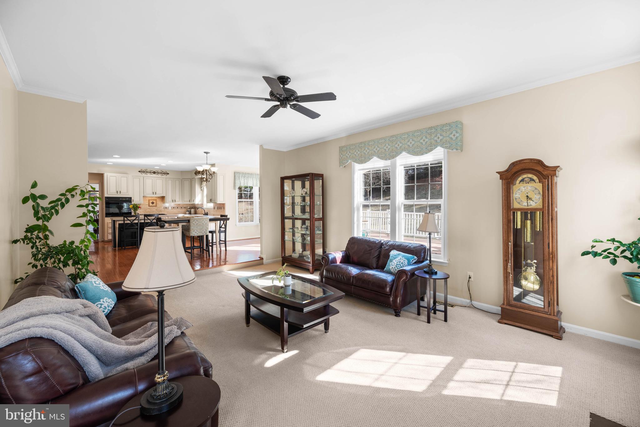 DANIEL'S MILL OVERLOOK - Residential