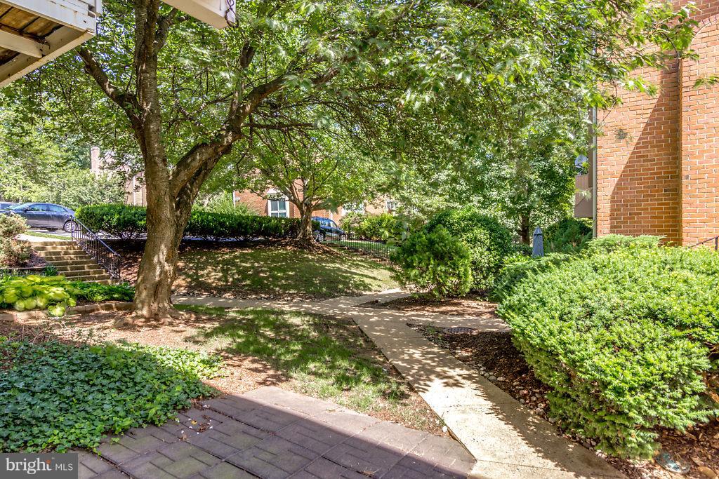 FAIRFAX PLAZA - Residential Lease