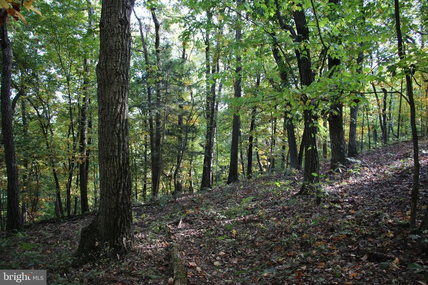 Here's a terrific recreational or residential tract located just east of Basye. This land is accessed via a 20 ft right of way off Senedo Road. The property entrance is gated and the topography ranges from mild to moderate. Enjoy recreation of all kinds along with seclusion and privacy on this parcel. There is a flat spot on top that would make an ideal location for your new country home or vacation rental. Stunning views of the valley and mountains are attainable with some tree clearing. This fully wooded property is zoned A-1 and has excellent hunting opportunities. All the fun and adventure of Bryce Resort is just around the corner.