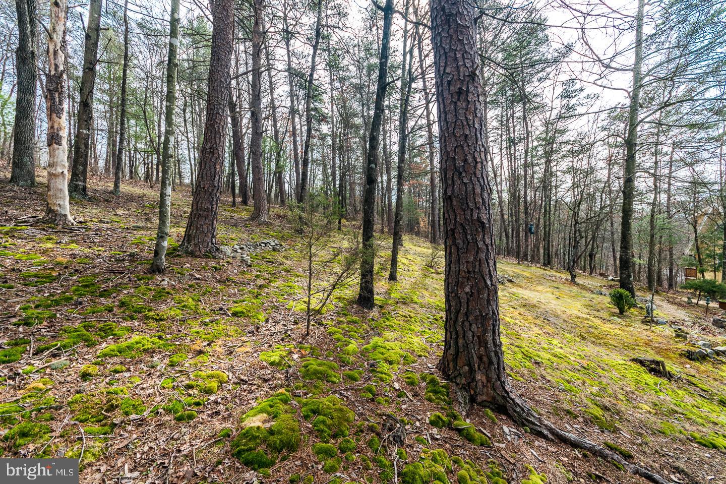 BRYCE  MOUNTAIN  RESORT - Residential