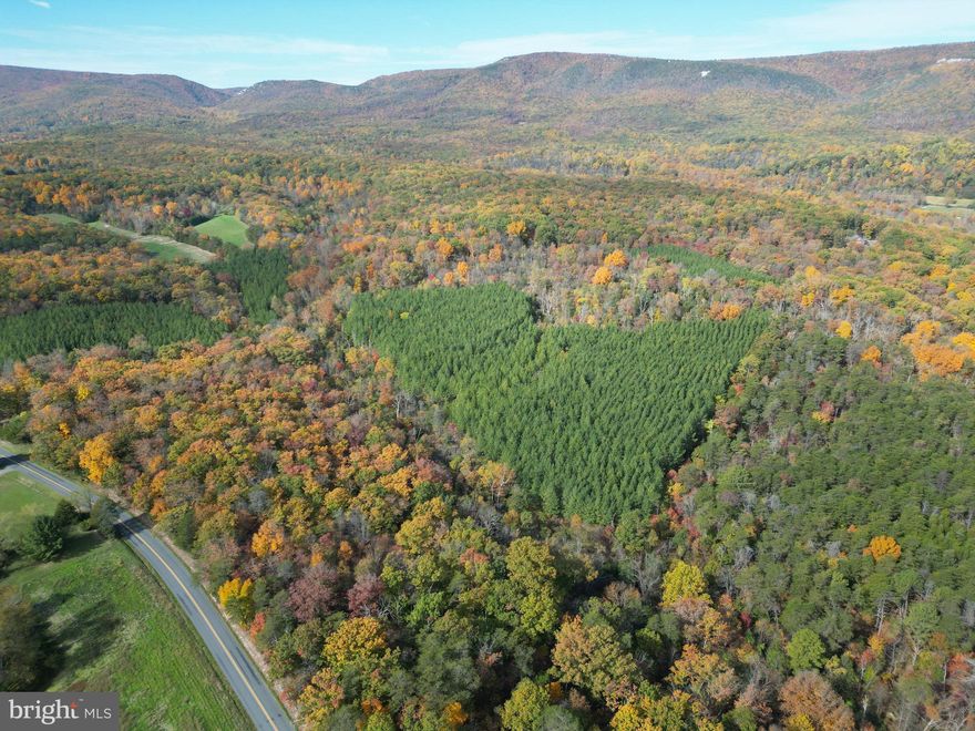 This fully wooded mature timber property hasn’t been on the market in over 60 years and it won’t last long. Located just minutes northwest of Strasburg in the Star Tannery area of the county, multiple possibilities exist for its new owner(s). Extensive road frontage on N Pifer Road of nearly 2000 ft and superb timber quality set this parcel apart. Discover potential building sites throughout this tract as you walk along the multiple ridge top flats. Two small streams converge on the south side of this property adding to its beauty and character. Experience exciting hunting as many types of wildlife call this land home including deer, turkey, and many small game species. Enjoy hiking, camping, and recreation of all types on this parcel. Gently sloping topography makes maneuvering this tract enjoyable and fun. This land is currently being used for recreation but it would also make an excellent site for your dream home or family subdivision. Imagine building your next country home or vacation rental right here. Utilities are close by making for easy and affordable connections. Currently enrolled in the county’s forestry land use program to reduce the annual taxes. Zoning ordinance allows for a family subdivision of up to 3 lots. The wooded acreage is a mix of hardwoods, softwoods, and planted pines. Just a few minutes from all the fun and adventure West Virginia has to offer. Only a short drive from the amenities and attractions of Strasburg.