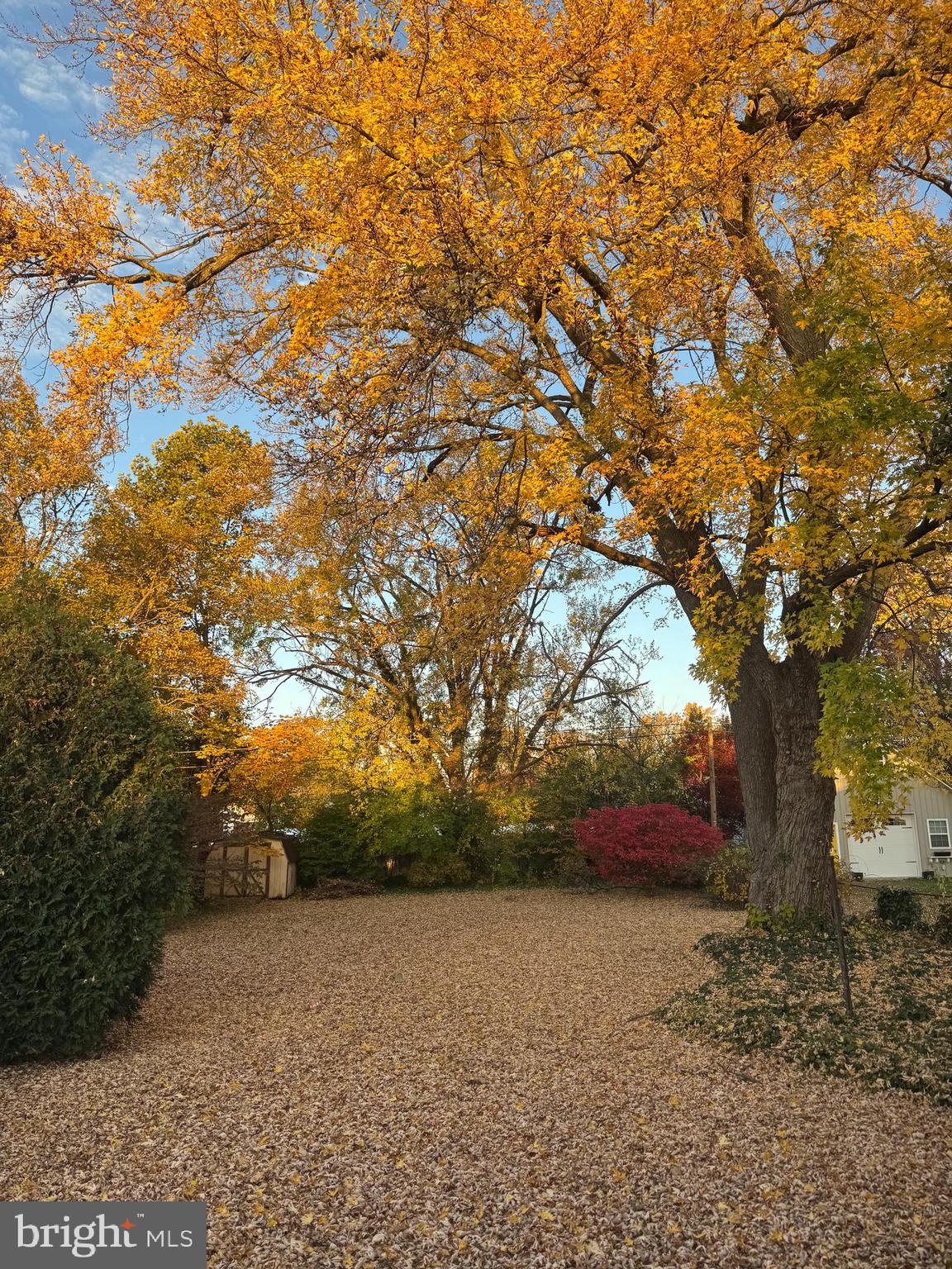 GARDEN CITY - Residential