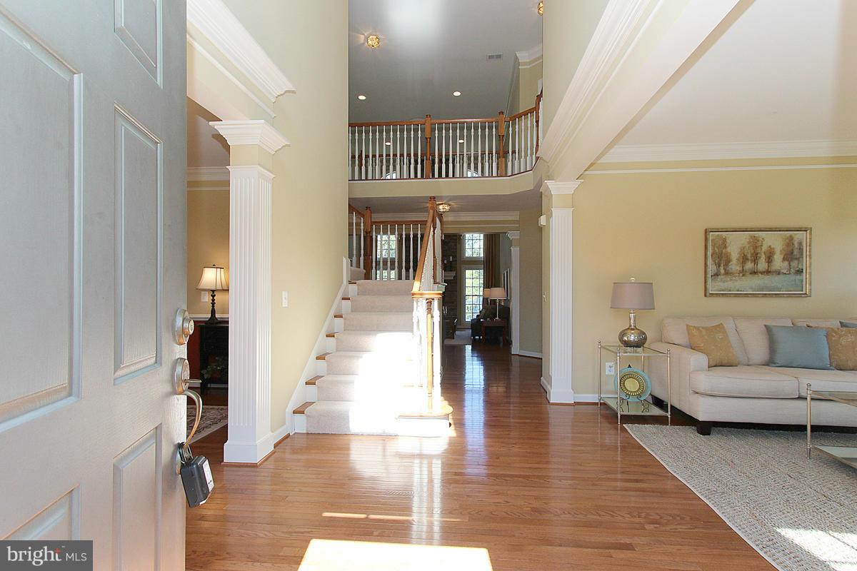 RIDGES OF ALEXANDRIA - Residential