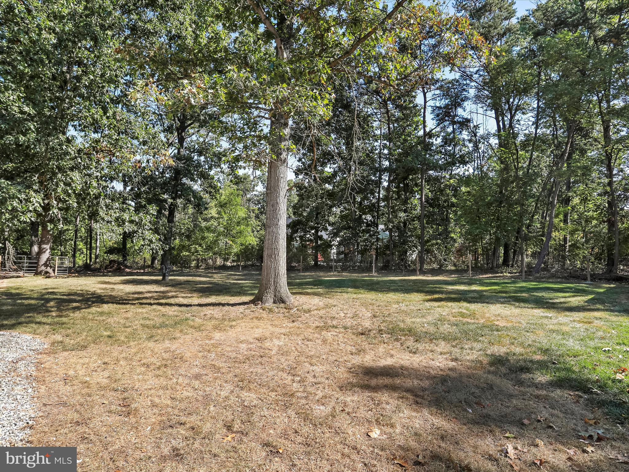 TIMBERVIEW FARMS - Residential