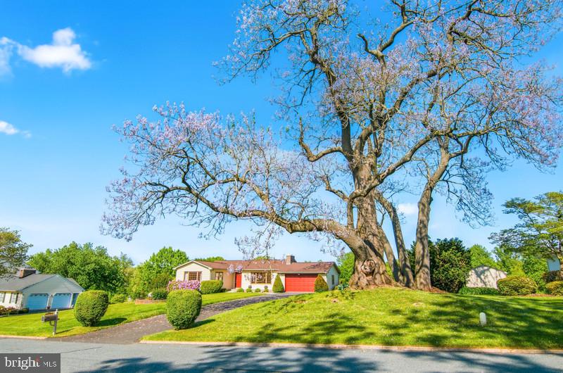 PRIESTFORD HILLS - Residential