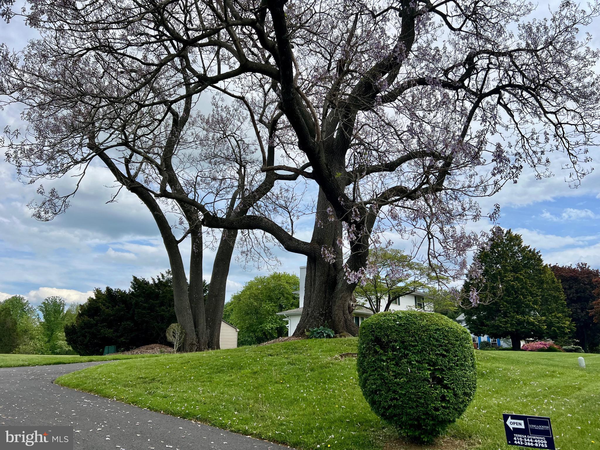 PRIESTFORD HILLS - Residential