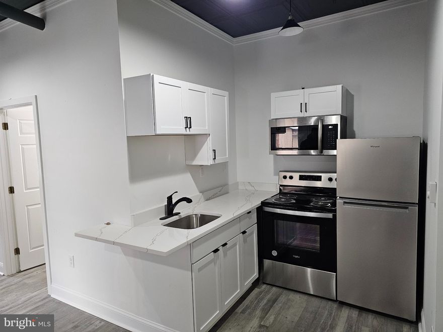 This is not a pet friendly property.  This first floor apartment is totally new and renovated  and has the industrial vibe inside.  Pull into the apartment house's parking lot to see plenty of off street parking.  When you enter through the vestibule, you will come into the apartment directly into the Living Room.  It is open concept into the kitchen, with brand new appliances, plenty of storage and quartz countertops that are amazing.  Look up to see the black tin ceiling giving much to the industrial look.  Notice how open and tall the ceilings are.  This place is super cool for the minimalist who likes a modern, trendy style. The kitchen has a breakfast bar.  The bedroom is long and narrow but has great natural light, high ceilings, and a original brick wall kept for character of this apartment.  The bathroom is newly renovated with a tub/shower unit and plenty of space.  This apartment will not last.  Although there is no in apartment laundry, the laundromat is literally across the street!  NO PETS.  Landlord is looking for applicants to have a credit score of 600 and have no criminal background.