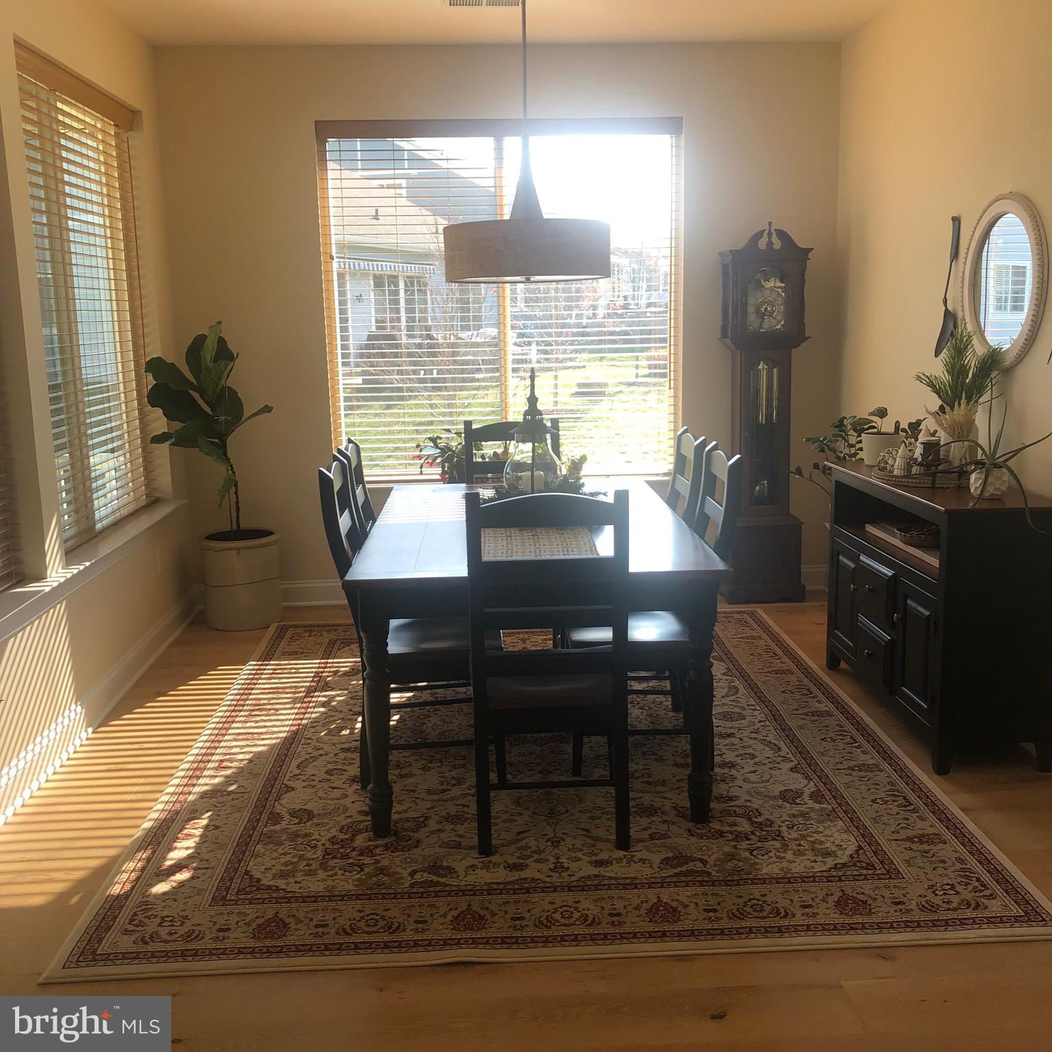 SHENANDOAH - Residential