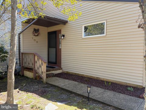 Photo of 103 Middle Holly Lane, LITTLE EGG HARBOR TWP, NJ 08087 (MLS # NJOC2041122)