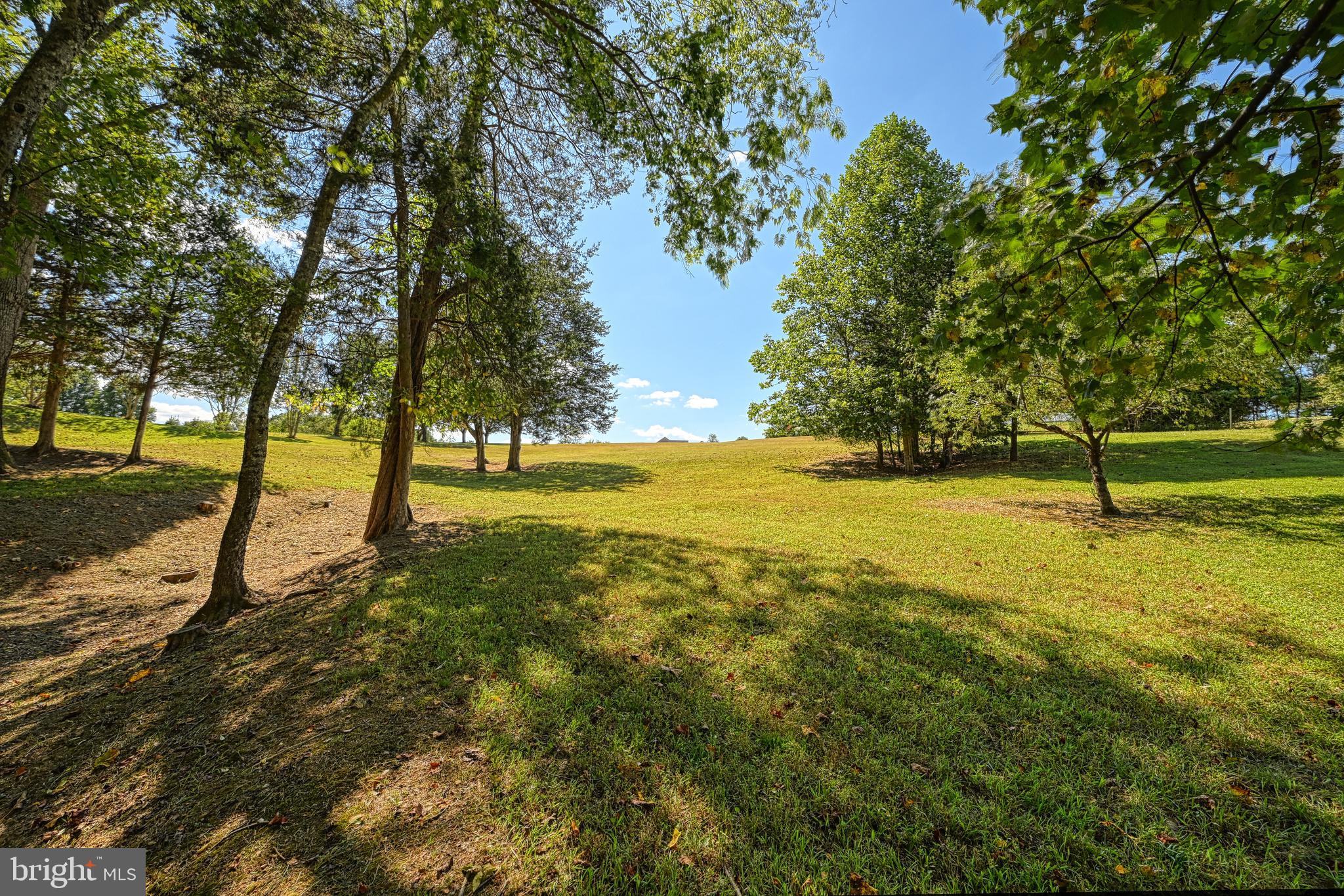15515 CHESTNUT TREE COURT