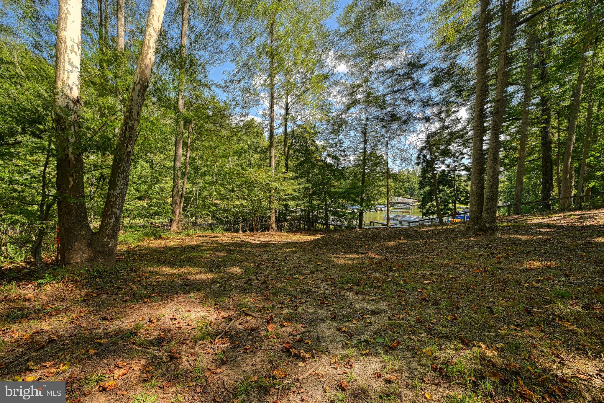 15515 CHESTNUT TREE COURT