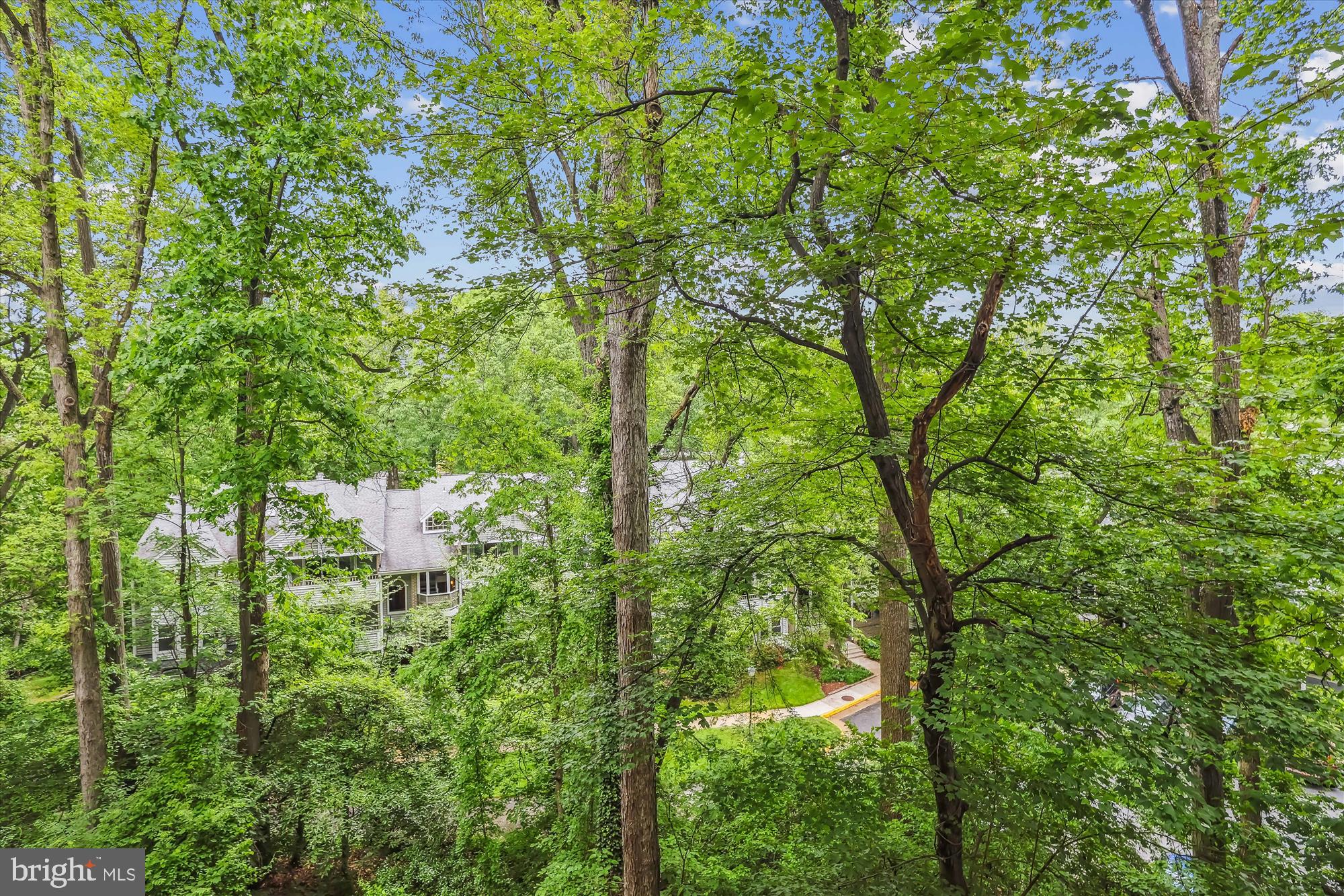 IVYMOUNT COURT - Residential